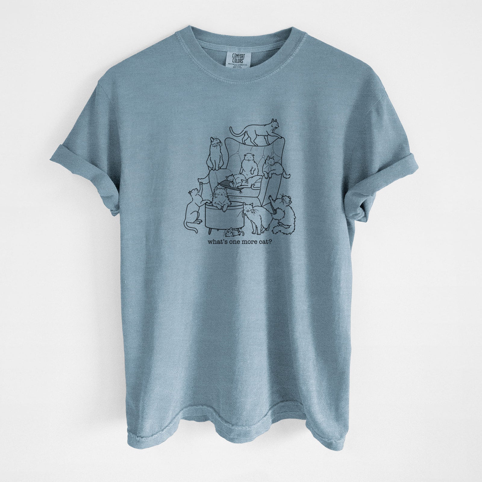 What's One More Cat? - Unisex Comfort Colors Garment-Dyed Heavyweight T-shirt in Steel Blue