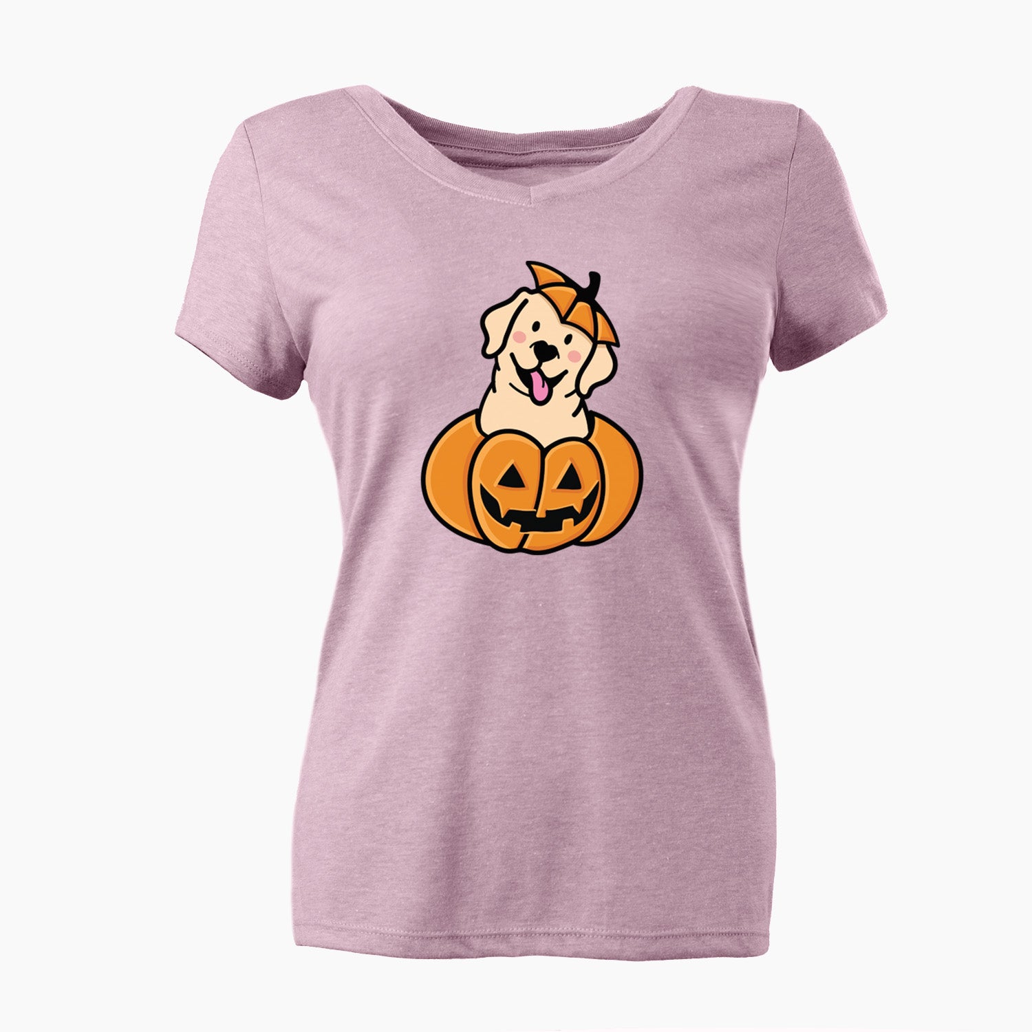 Pumpkin Pup - Labrador Retriever - Women's Perfect V-neck Shirt
