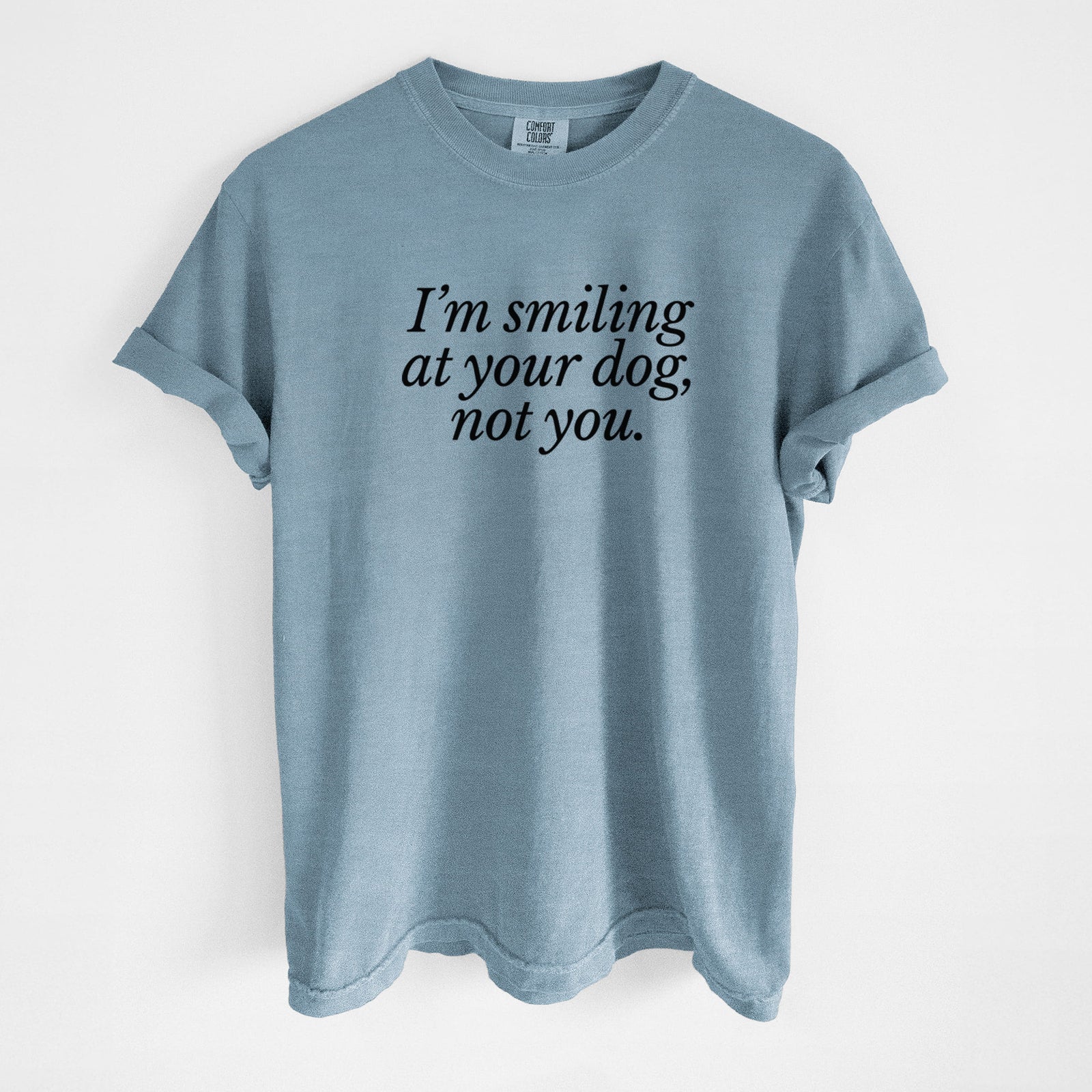 I’m smiling at your dog, not you - Unisex Comfort Colors Garment-Dyed Heavyweight T-shirt in Steel Blue