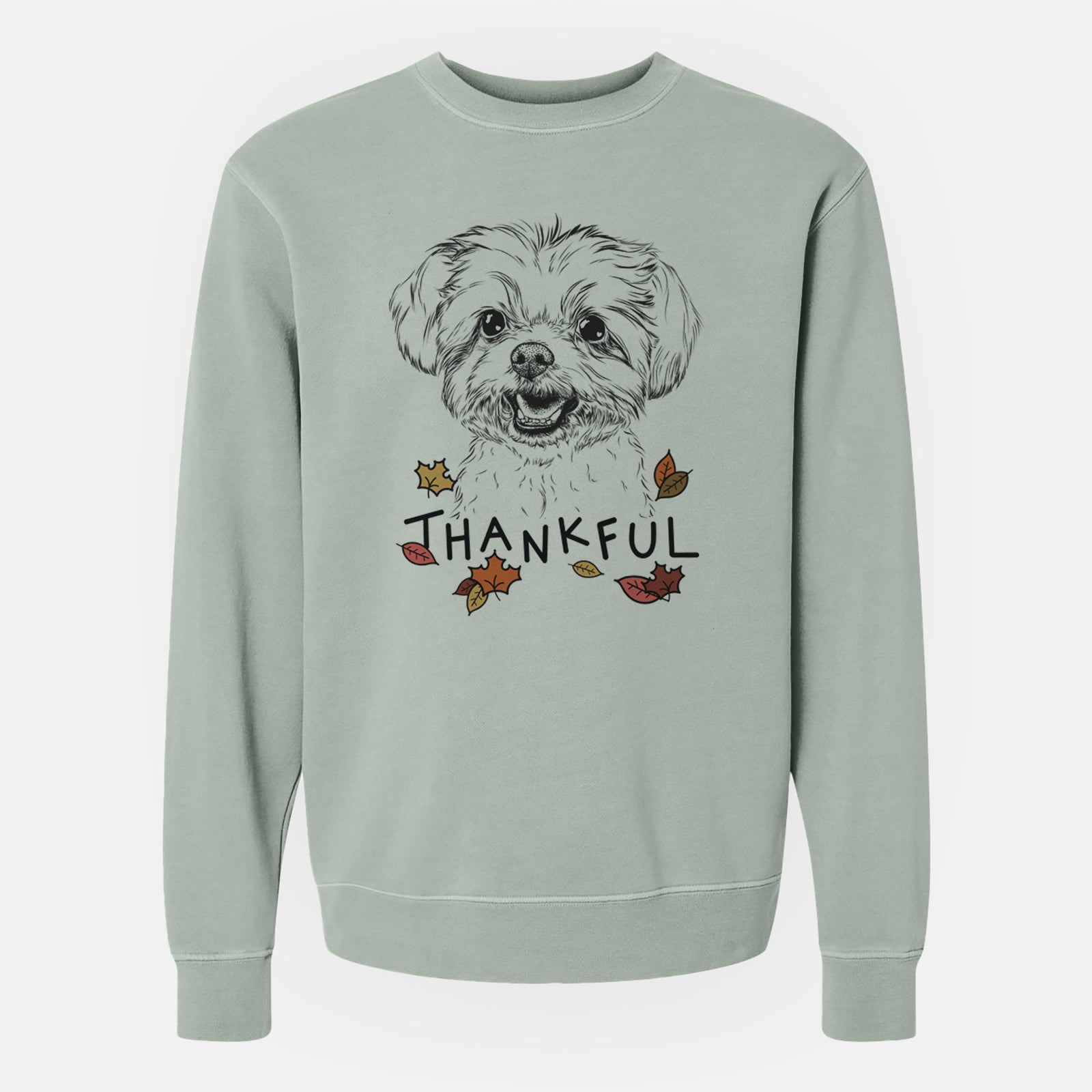 Hand-drawn sketch of Aspen the Morkie with 'Thankful' lettering and autumn leaves on a Sage Unisex pigment dyed crew sweatshirt