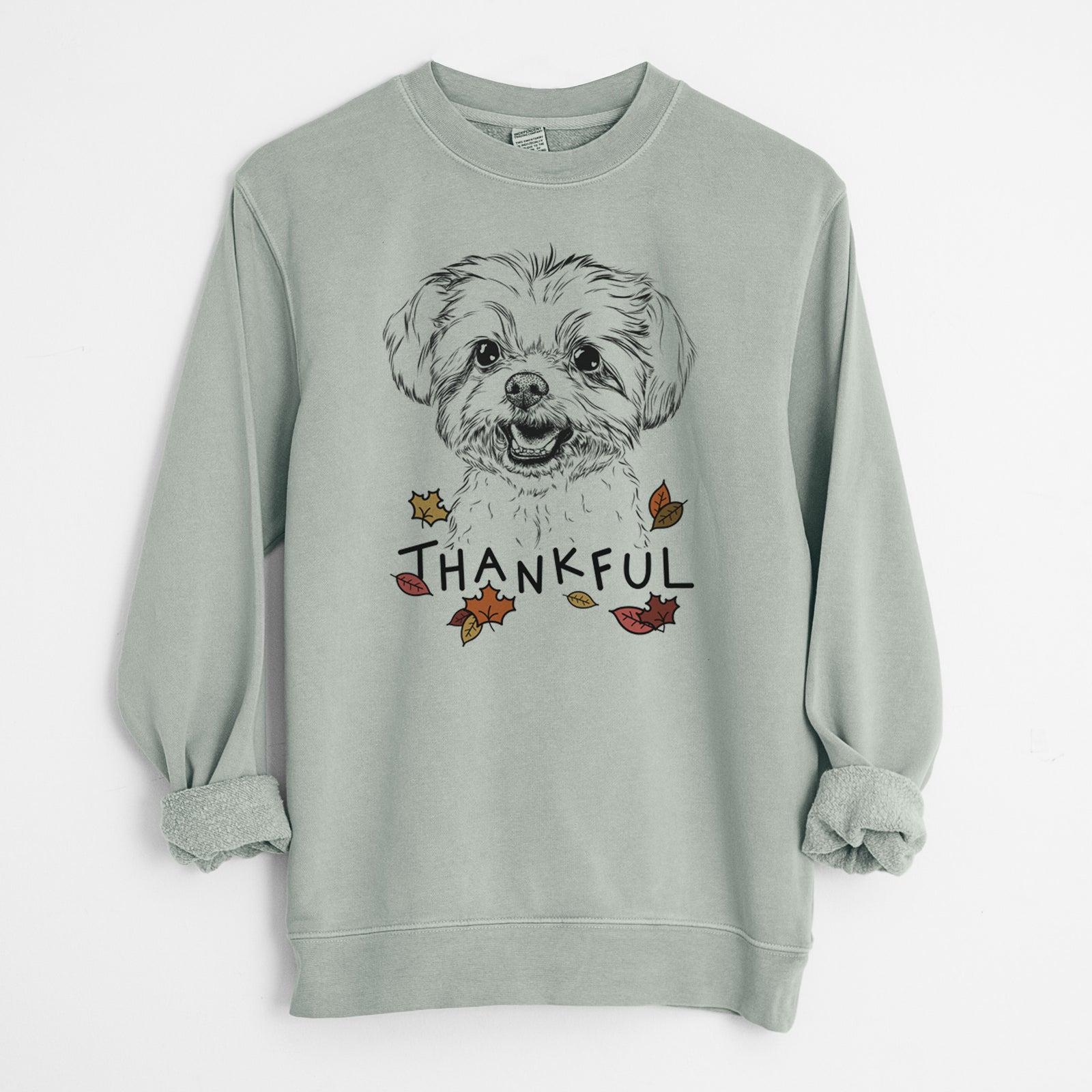 Hand-drawn sketch of Aspen the Morkie with 'Thankful' lettering and autumn leaves on a Sage Unisex pigment dyed crew sweatshirt