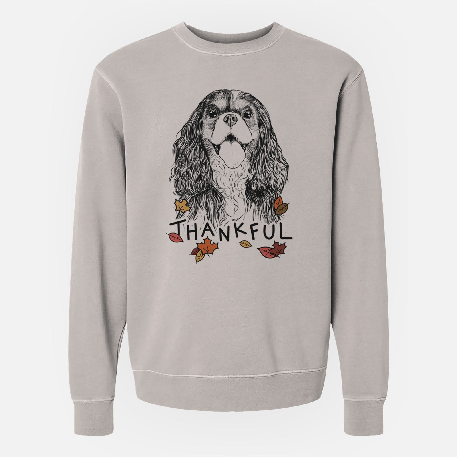 Hand-drawn sketch of Brandy the Cavalier King Charles Spaniel with 'Thankful' lettering and autumn leaves on a Cement Unisex pigment dyed crew sweatshirt