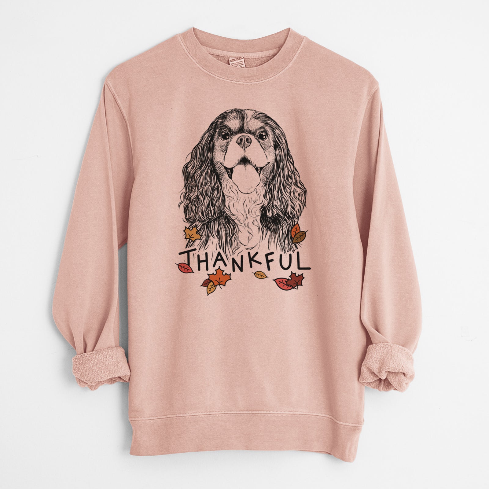 Hand-drawn sketch of Brandy the Cavalier King Charles Spaniel with 'Thankful' lettering and autumn leaves on a Dusty Pink Unisex pigment dyed crew sweatshirt