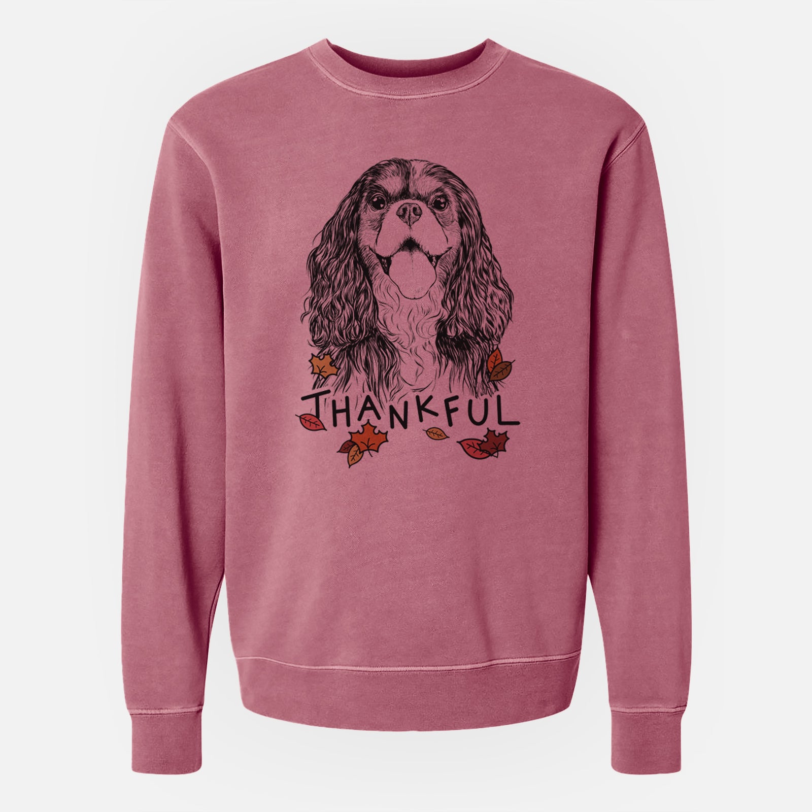 Hand-drawn sketch of Brandy the Cavalier King Charles Spaniel with 'Thankful' lettering and autumn leaves on a Maroon Unisex pigment dyed crew sweatshirt