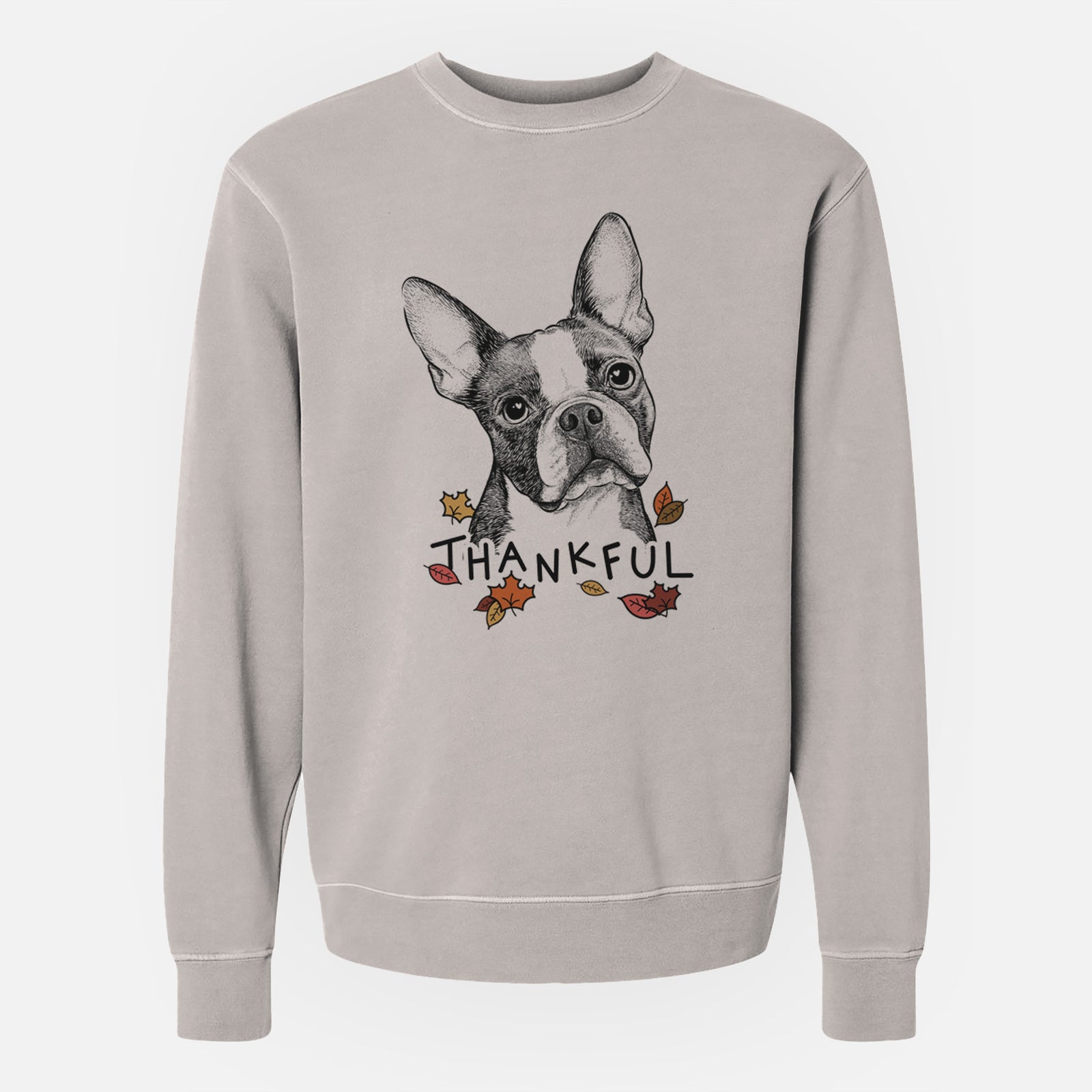 Hand-drawn sketch of Dee Dee the Boston Terrier with 'Thankful' lettering and autumn leaves on a Cement Unisex pigment dyed crew sweatshirt