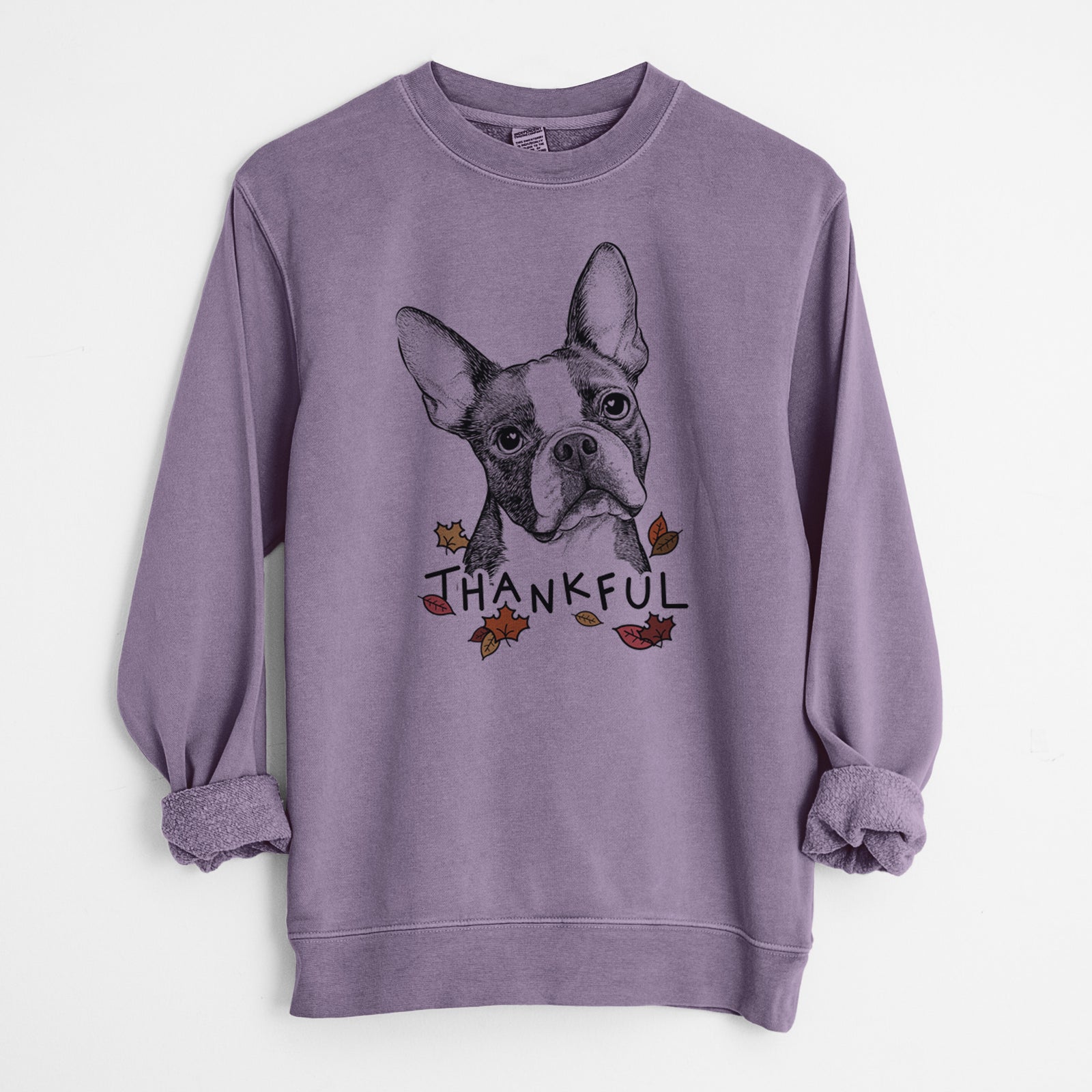 Hand-drawn sketch of Dee Dee the Boston Terrier with 'Thankful' lettering and autumn leaves on a Plum Unisex pigment dyed crew sweatshirt