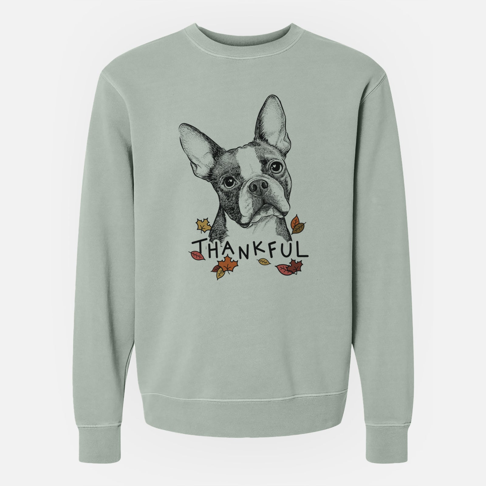 Hand-drawn sketch of Dee Dee the Boston Terrier with 'Thankful' lettering and autumn leaves on a Sage Unisex pigment dyed crew sweatshirt