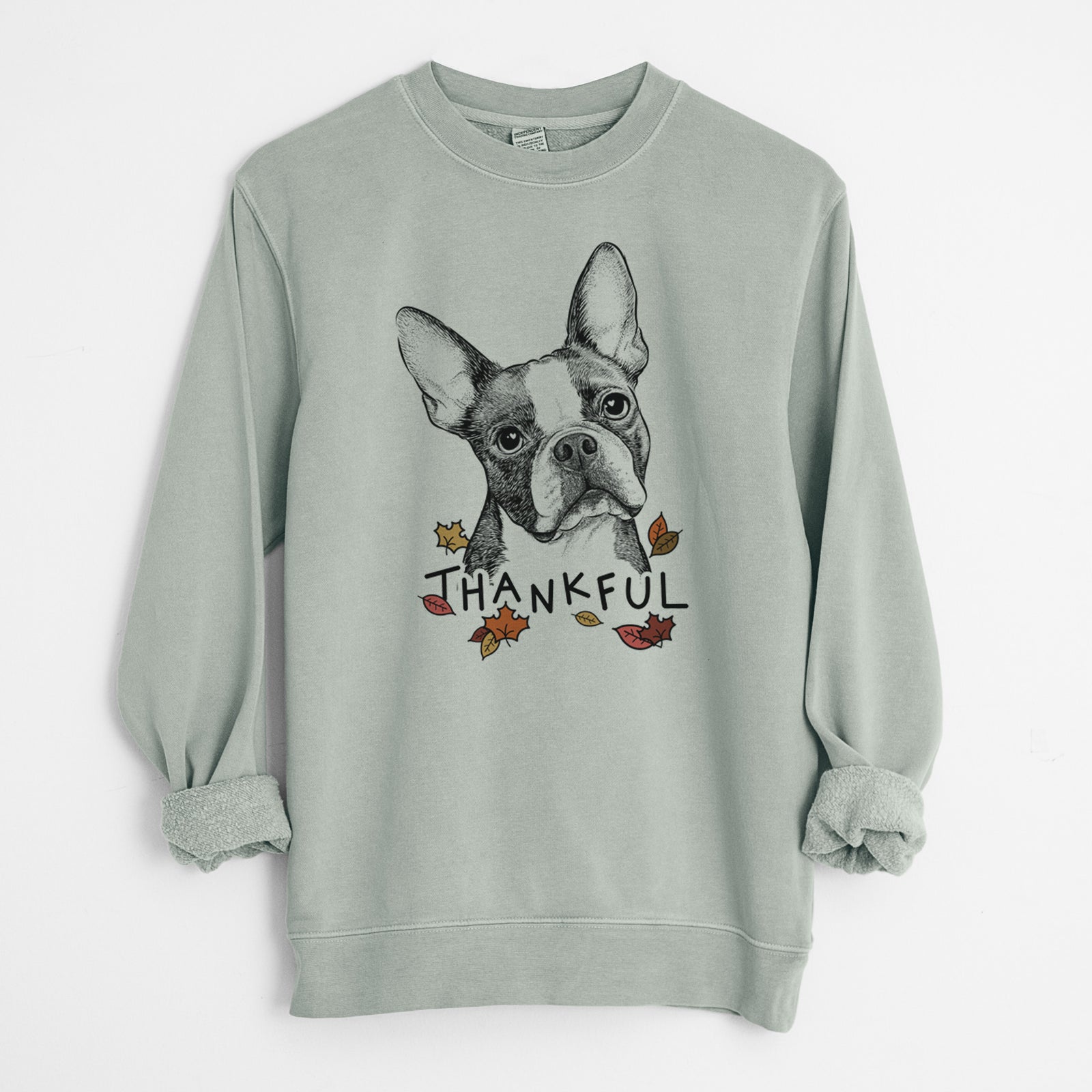Hand-drawn sketch of Dee Dee the Boston Terrier with 'Thankful' lettering and autumn leaves on a Sage Unisex pigment dyed crew sweatshirt