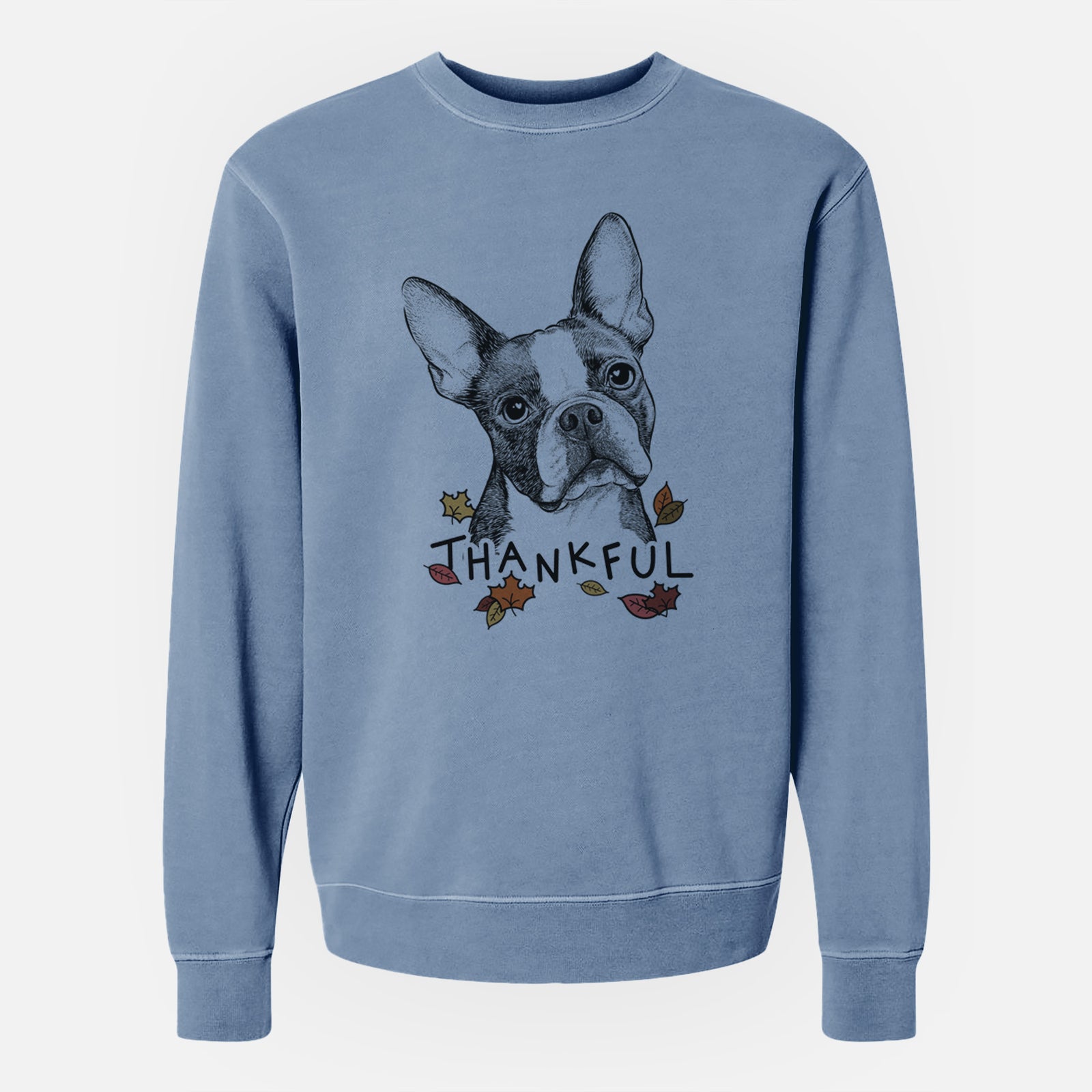 Hand-drawn sketch of Dee Dee the Boston Terrier with 'Thankful' lettering and autumn leaves on a Slate Blue Unisex pigment dyed crew sweatshirt
