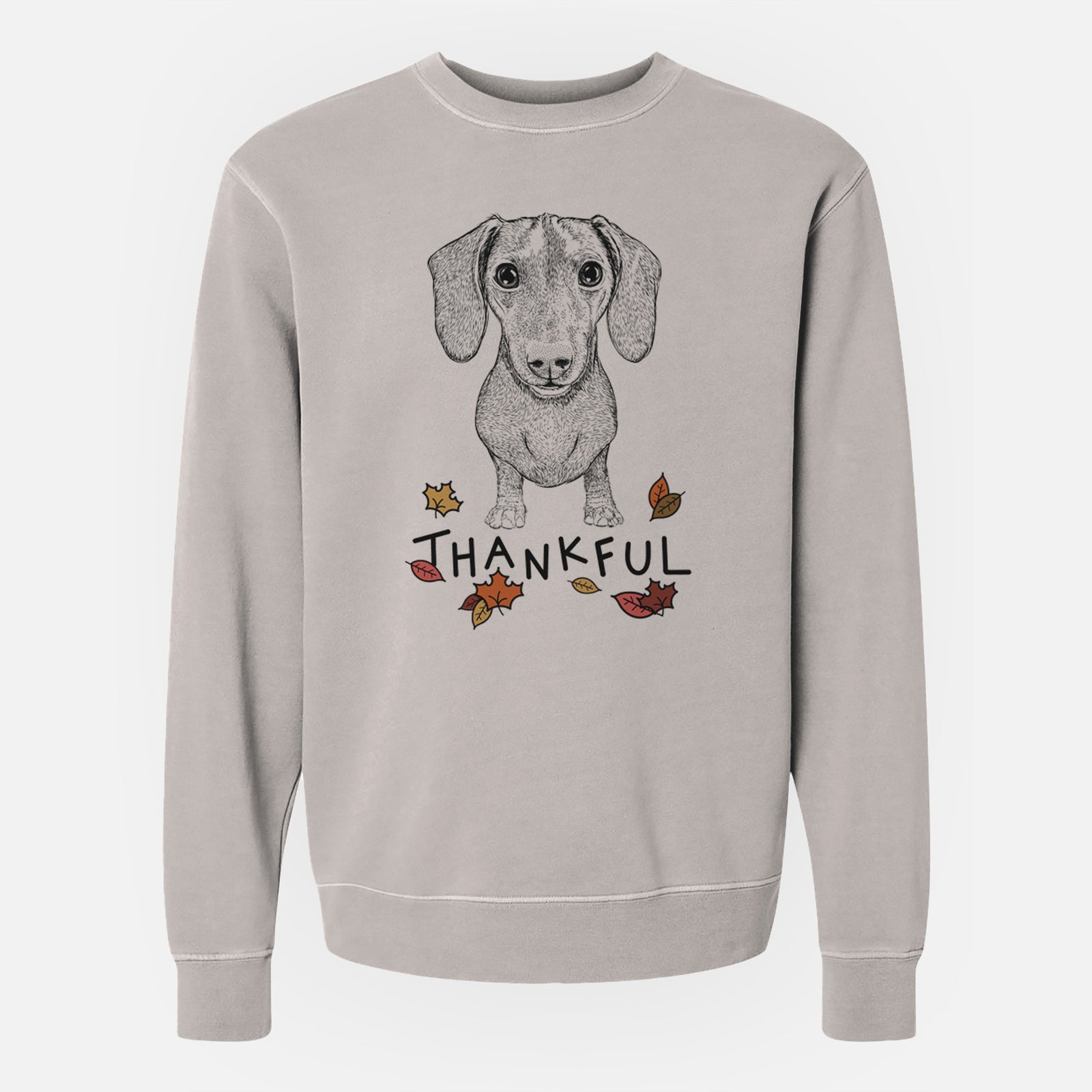 Hand-drawn sketch of Ernie the Mini Dachshund with 'Thankful' lettering and autumn leaves on a Cement Unisex pigment dyed crew sweatshirt