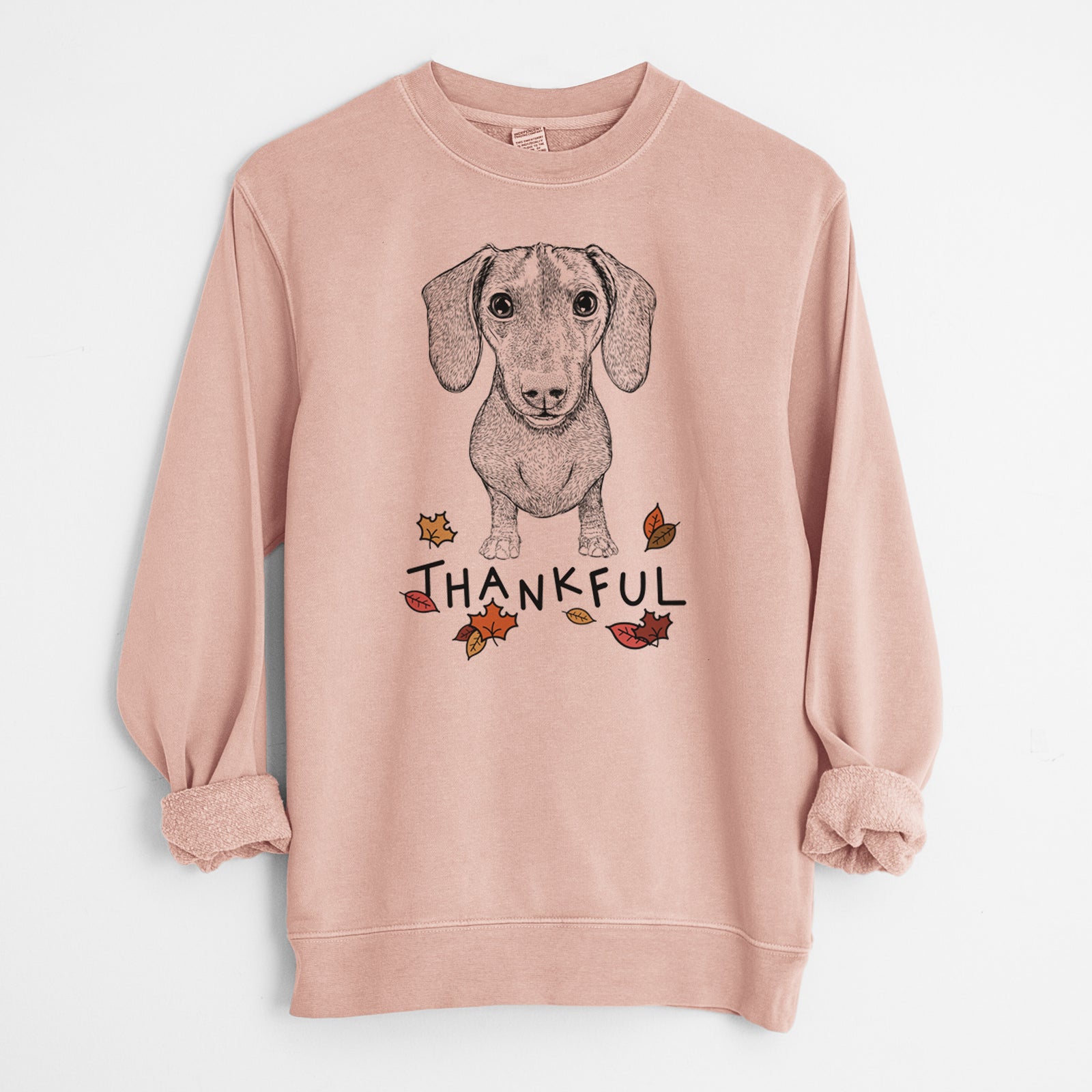 Hand-drawn sketch of Ernie the Mini Dachshund with 'Thankful' lettering and autumn leaves on a Dusty Pink Unisex pigment dyed crew sweatshirt