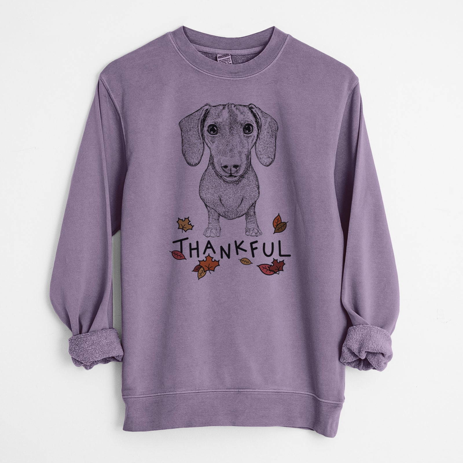 Hand-drawn sketch of Ernie the Mini Dachshund with 'Thankful' lettering and autumn leaves on a Plum Unisex pigment dyed crew sweatshirt