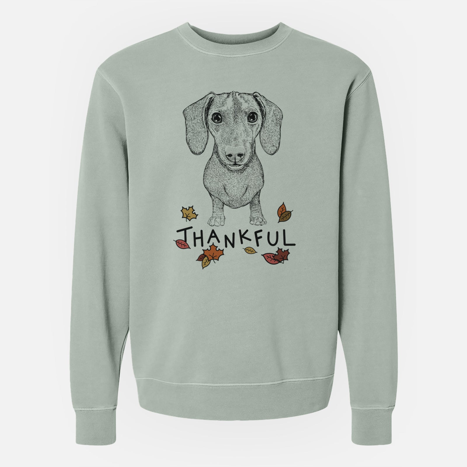 Hand-drawn sketch of Ernie the Mini Dachshund with 'Thankful' lettering and autumn leaves on a Sage Unisex pigment dyed crew sweatshirt