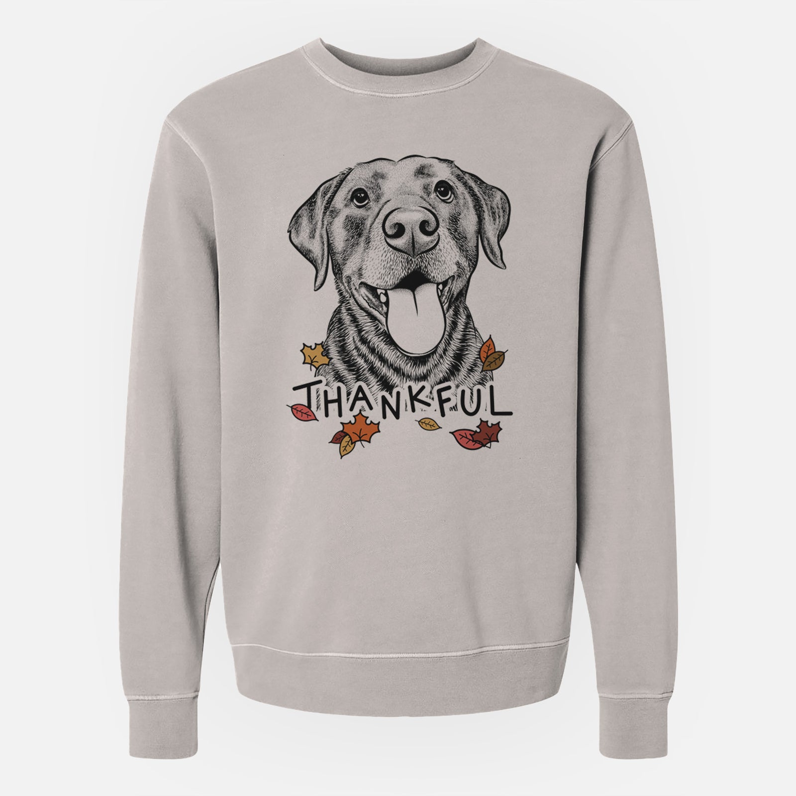Hand-drawn sketch of Gwen the Labrador Retriever with 'Thankful' lettering and autumn leaves on a Cement Unisex pigment dyed crew sweatshirt