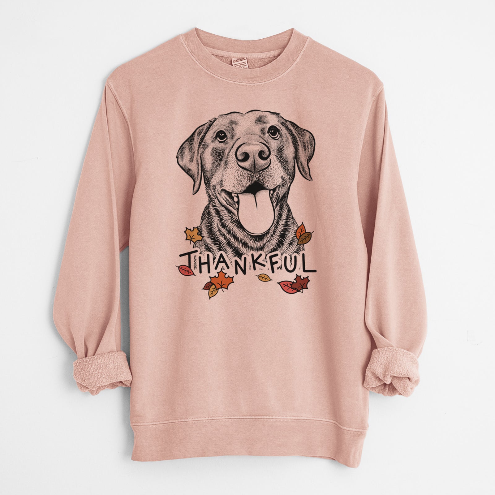 Hand-drawn sketch of Gwen the Labrador Retriever with 'Thankful' lettering and autumn leaves on a Dusty Pink Unisex pigment dyed crew sweatshirt