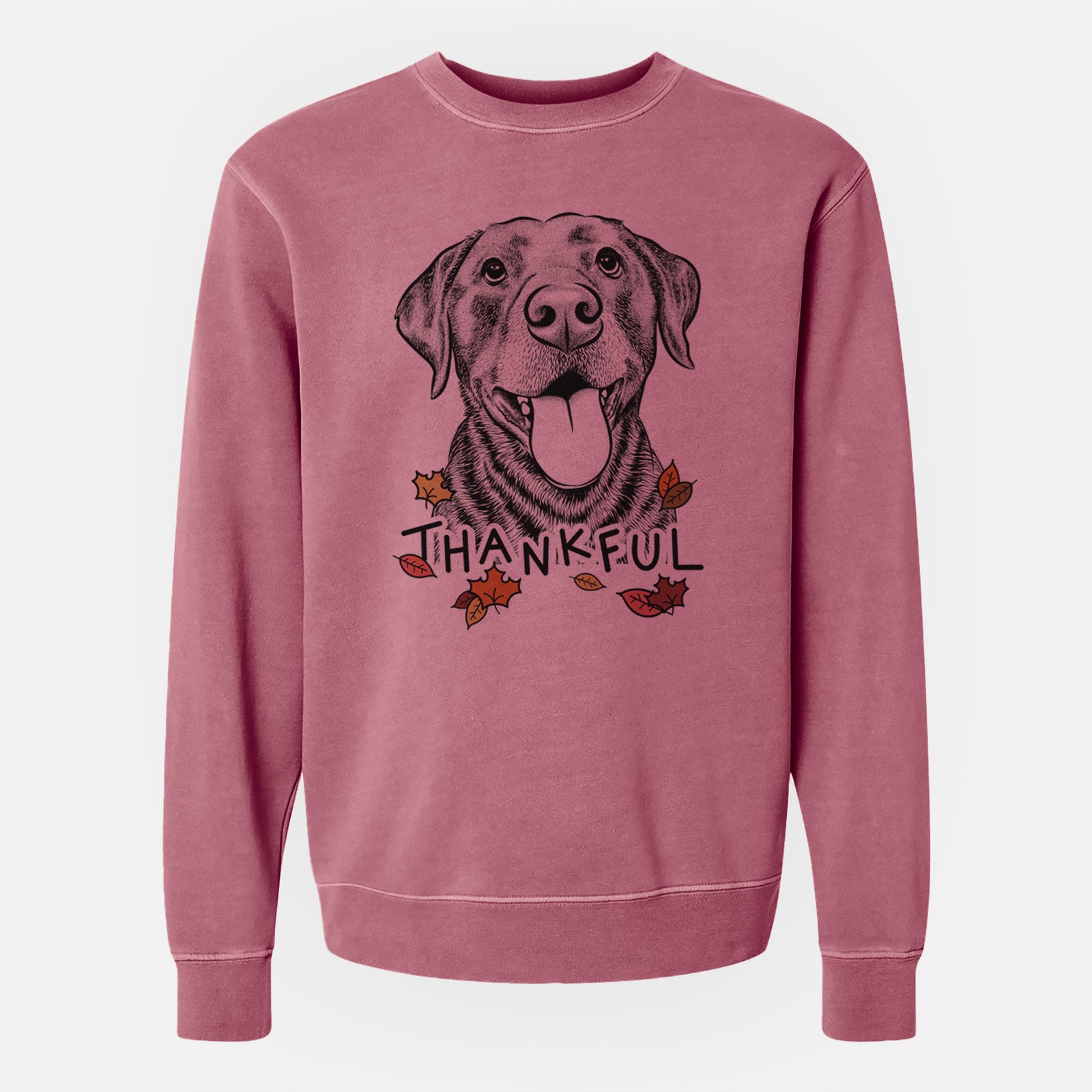 Hand-drawn sketch of Gwen the Labrador Retriever with 'Thankful' lettering and autumn leaves on a Maroon Unisex pigment dyed crew sweatshirt