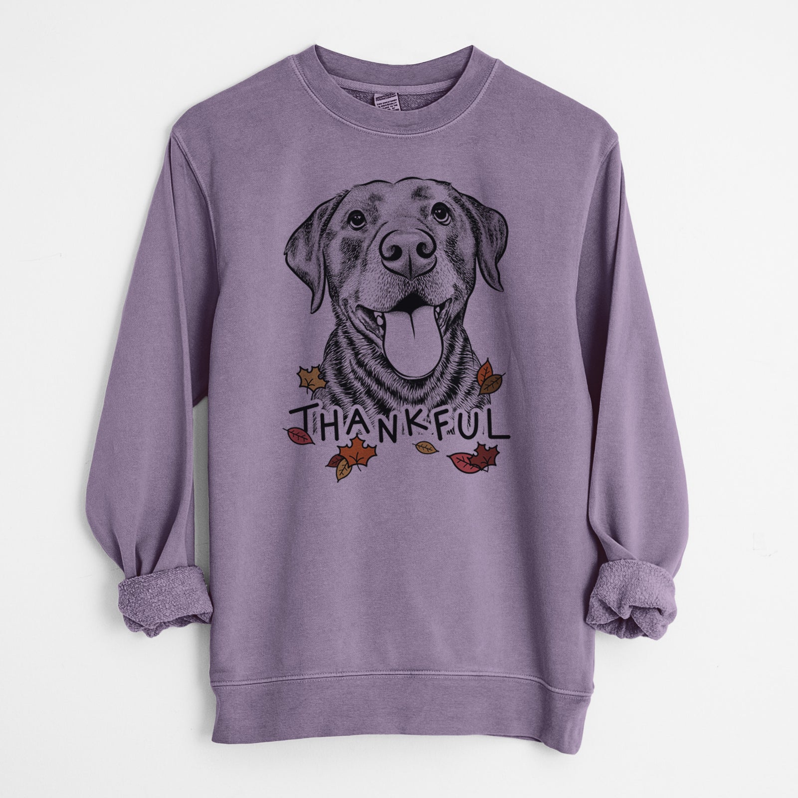 Hand-drawn sketch of Gwen the Labrador Retriever with 'Thankful' lettering and autumn leaves on a Plum Unisex pigment dyed crew sweatshirt