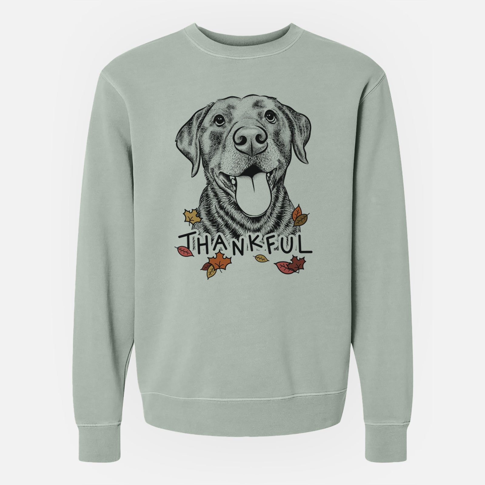 Hand-drawn sketch of Gwen the Labrador Retriever with 'Thankful' lettering and autumn leaves on a Sage Unisex pigment dyed crew sweatshirt