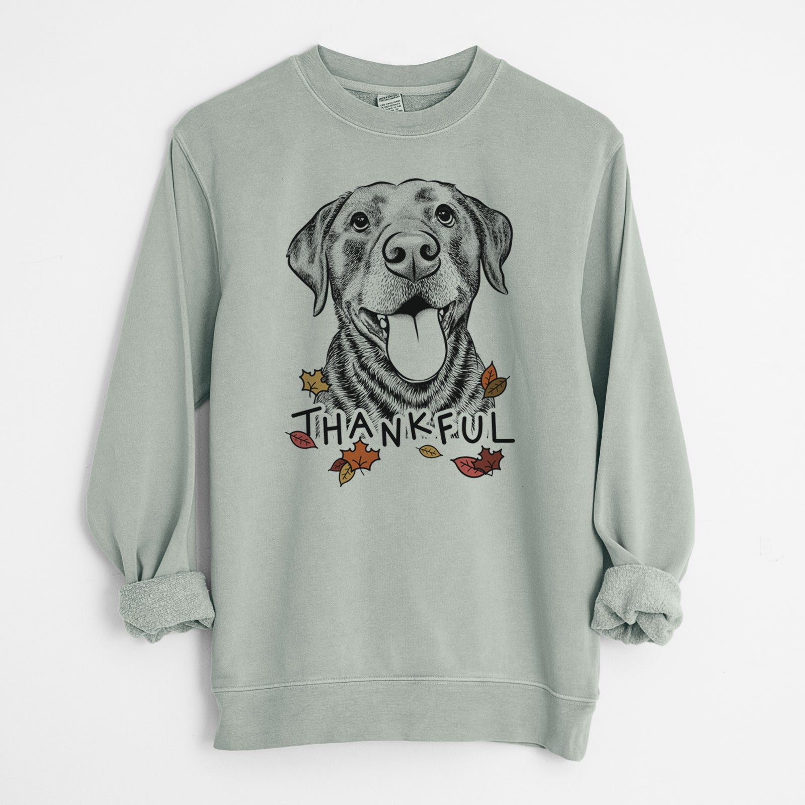 Hand-drawn sketch of Gwen the Labrador Retriever with 'Thankful' lettering and autumn leaves on a Sage Unisex pigment dyed crew sweatshirt