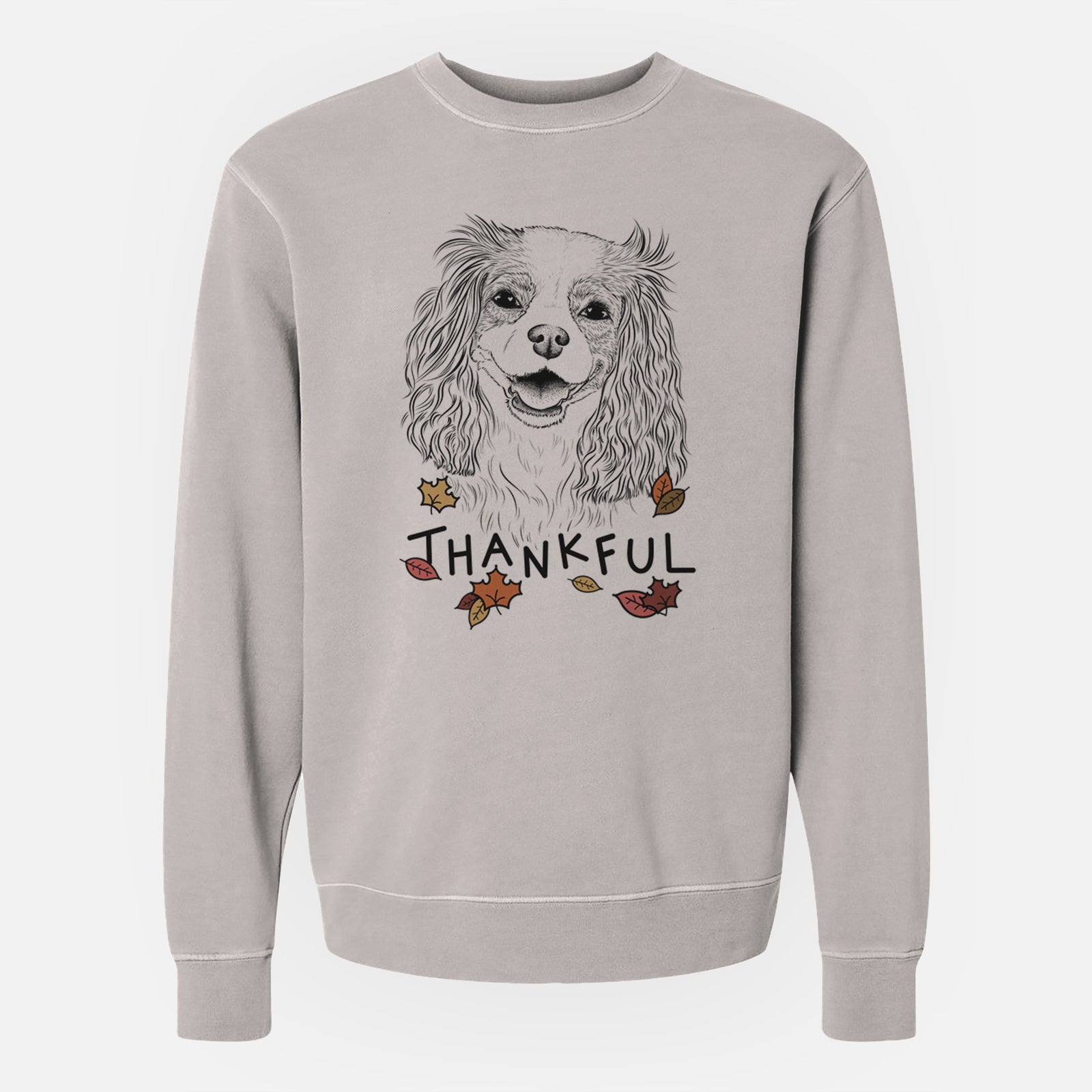 Hand-drawn sketch of Halley Comet the Cavalier King Charles Spaniel with 'Thankful' lettering and autumn leaves on a Cement Unisex pigment dyed crew sweatshirt