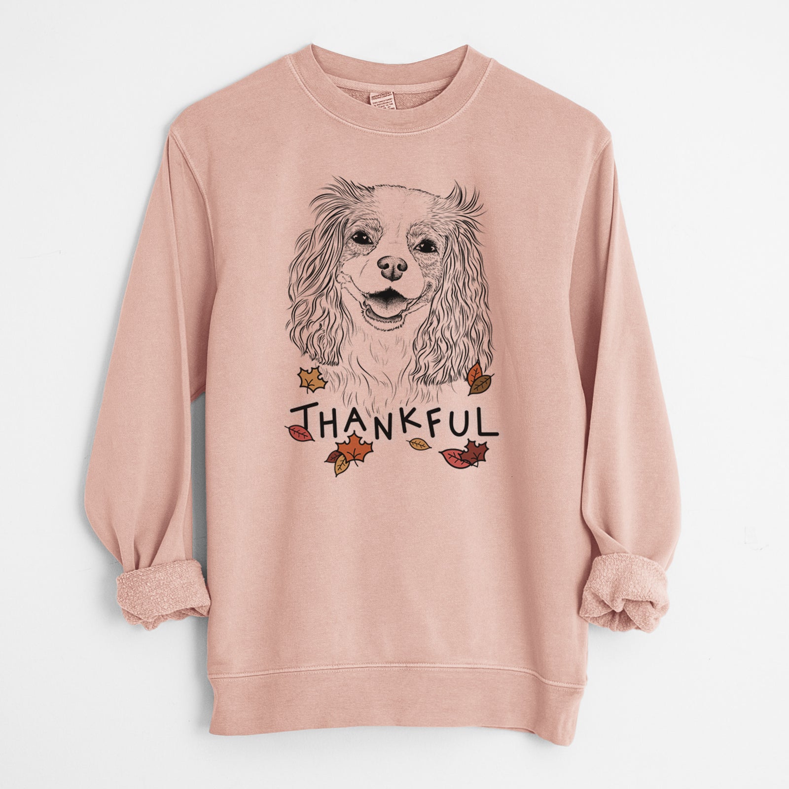 Hand-drawn sketch of Halley Comet the Cavalier King Charles Spaniel with 'Thankful' lettering and autumn leaves on a Dusty Pink Unisex pigment dyed crew sweatshirt