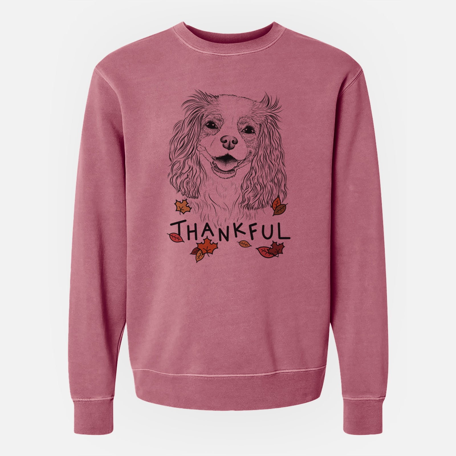 Hand-drawn sketch of Halley Comet the Cavalier King Charles Spaniel with 'Thankful' lettering and autumn leaves on a Maroon Unisex pigment dyed crew sweatshirt