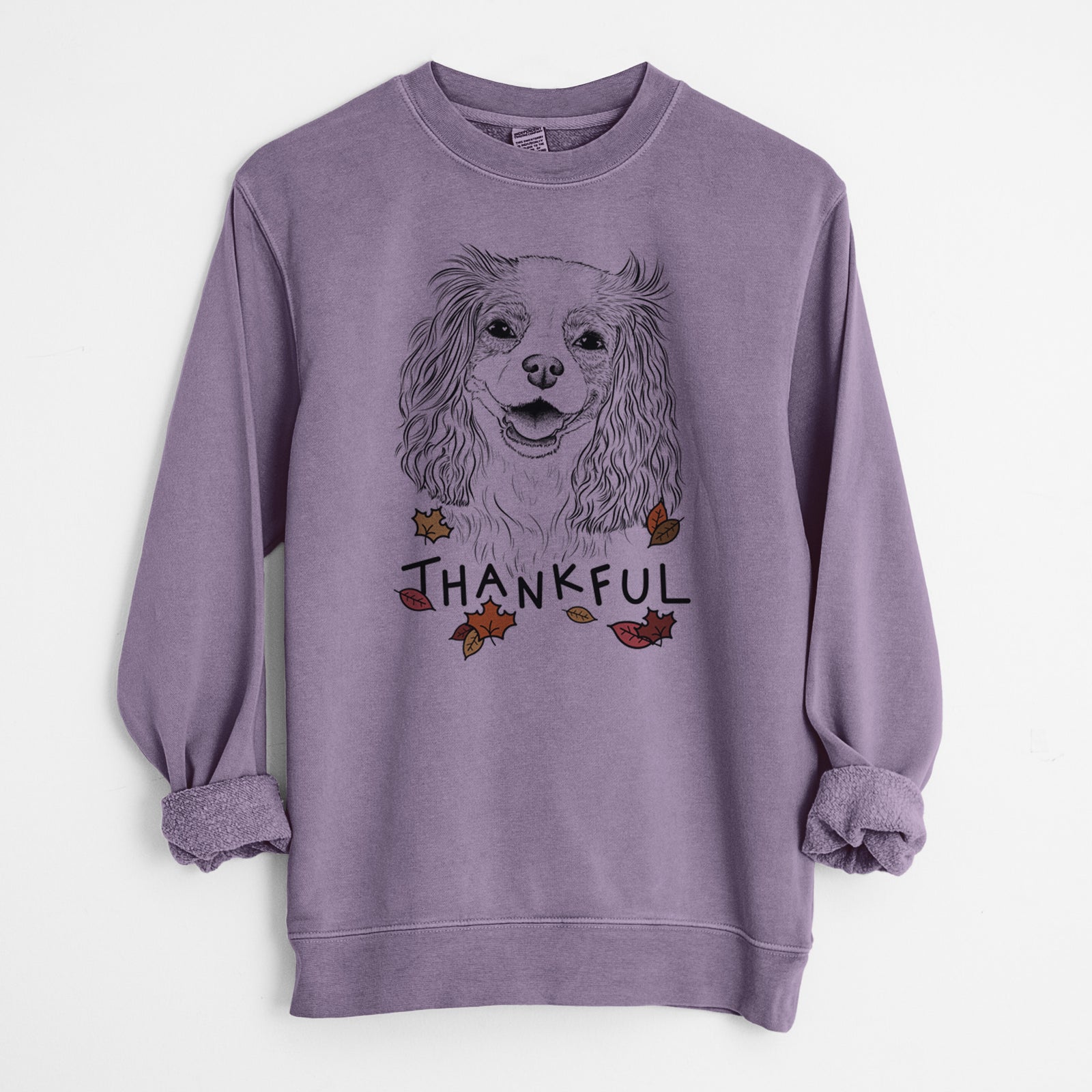 Hand-drawn sketch of Halley Comet the Cavalier King Charles Spaniel with 'Thankful' lettering and autumn leaves on a Plum Unisex pigment dyed crew sweatshirt