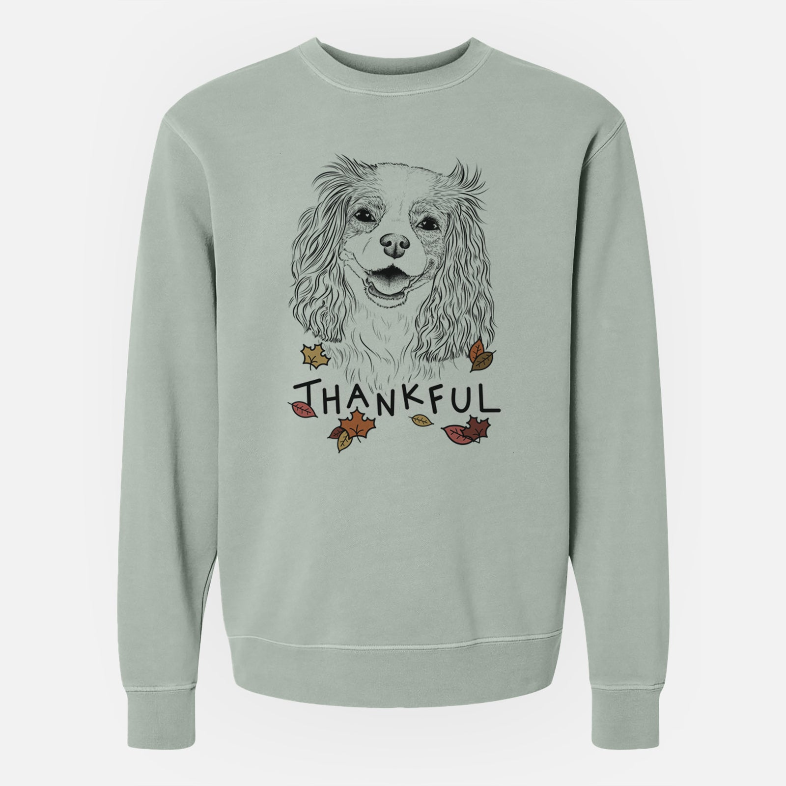 Hand-drawn sketch of Halley Comet the Cavalier King Charles Spaniel with 'Thankful' lettering and autumn leaves on a Sage Unisex pigment dyed crew sweatshirt