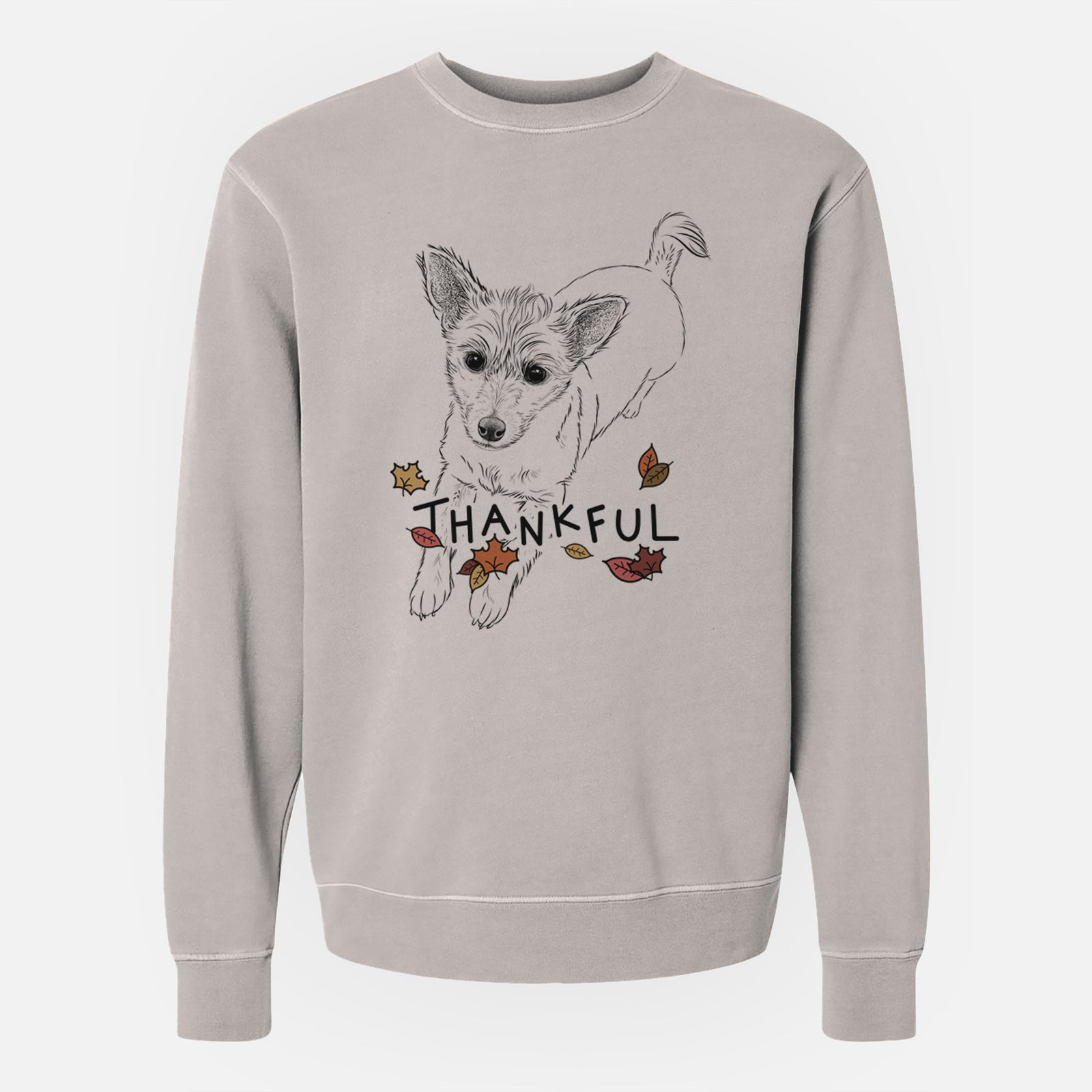 Hand-drawn sketch of Maisie the Terrier Mix with 'Thankful' lettering and autumn leaves on a Cement Unisex pigment dyed crew sweatshirt