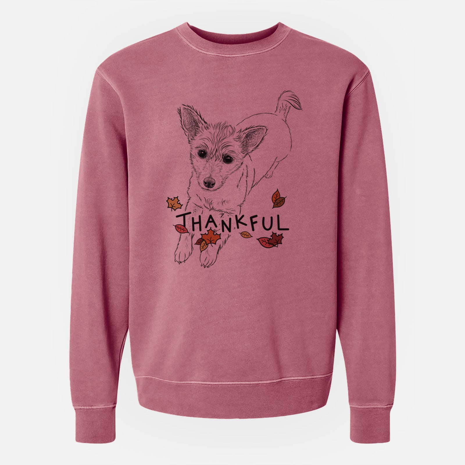Hand-drawn sketch of Maisie the Terrier Mix with 'Thankful' lettering and autumn leaves on a Maroon Unisex pigment dyed crew sweatshirt
