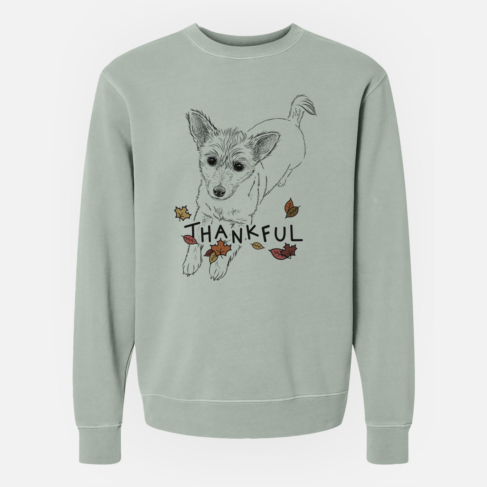 Hand-drawn sketch of Maisie the Terrier Mix with 'Thankful' lettering and autumn leaves on a Sage Unisex pigment dyed crew sweatshirt