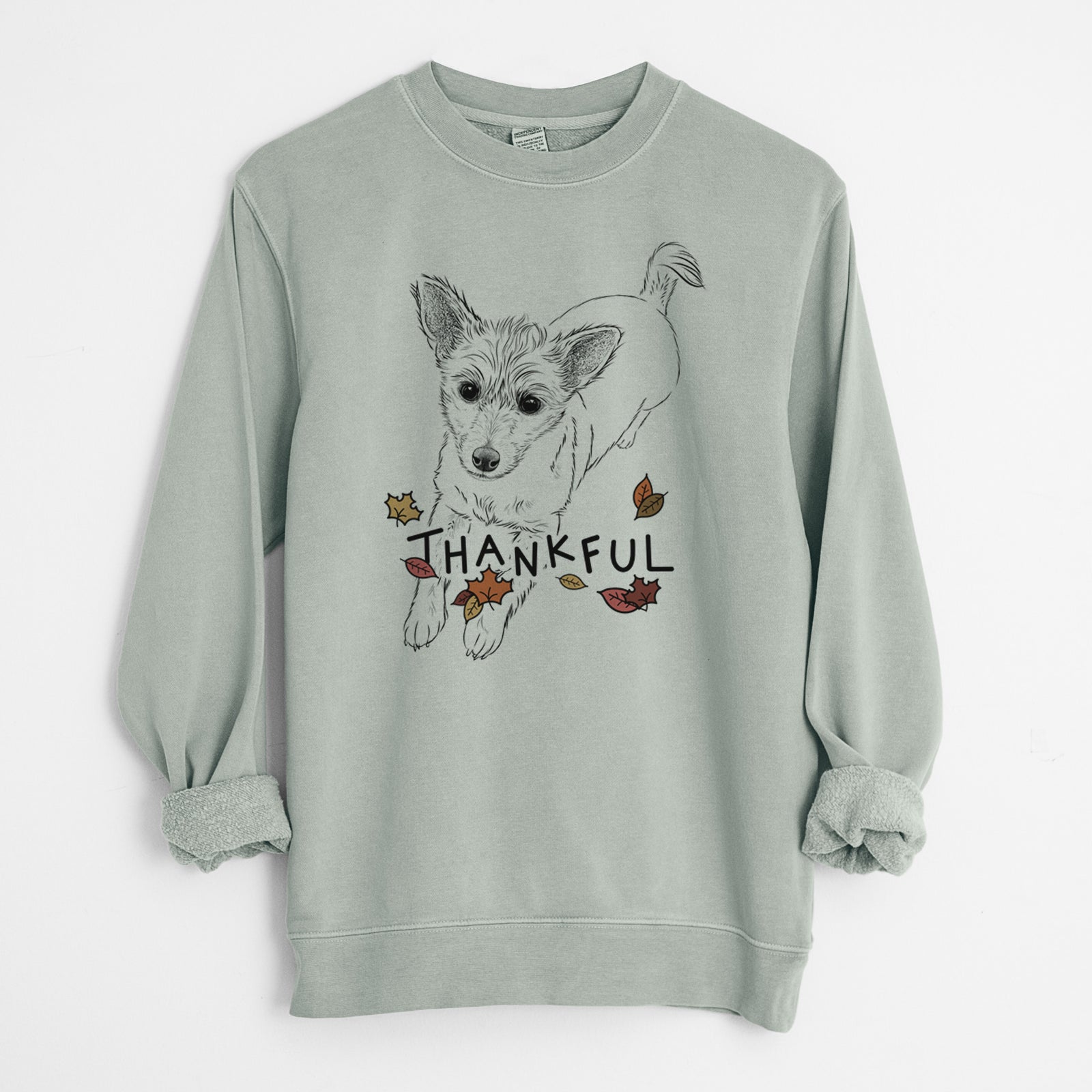 Hand-drawn sketch of Maisie the Terrier Mix with 'Thankful' lettering and autumn leaves on a Sage Unisex pigment dyed crew sweatshirt