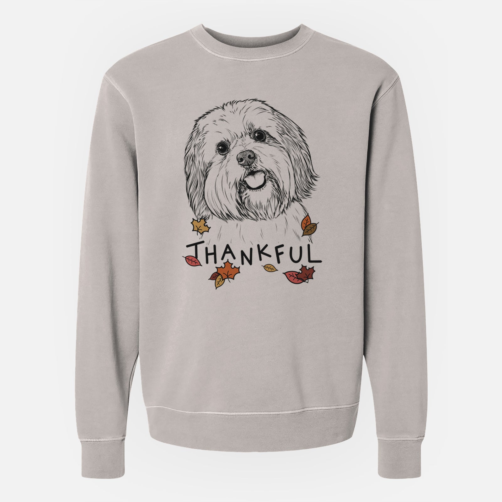 Hand-drawn sketch of Nikka the Lowchen with 'Thankful' lettering and autumn leaves on a Cement Unisex pigment dyed crew sweatshirt