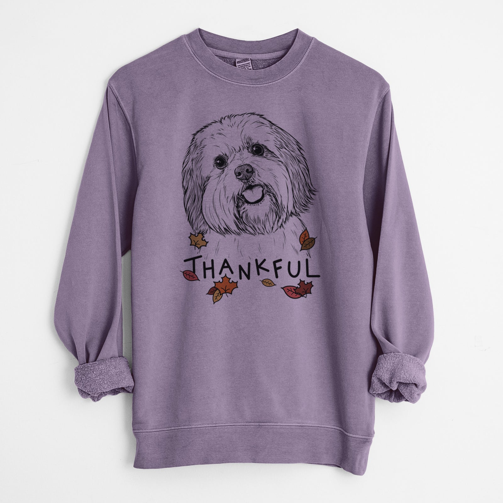 Hand-drawn sketch of Nikka the Lowchen with 'Thankful' lettering and autumn leaves on a Plum Unisex pigment dyed crew sweatshirt