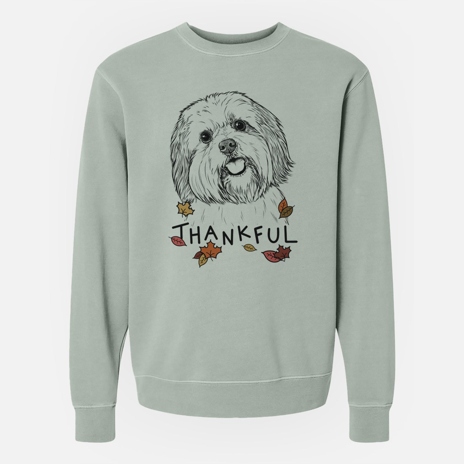 Hand-drawn sketch of Nikka the Lowchen with 'Thankful' lettering and autumn leaves on a Sage Unisex pigment dyed crew sweatshirt