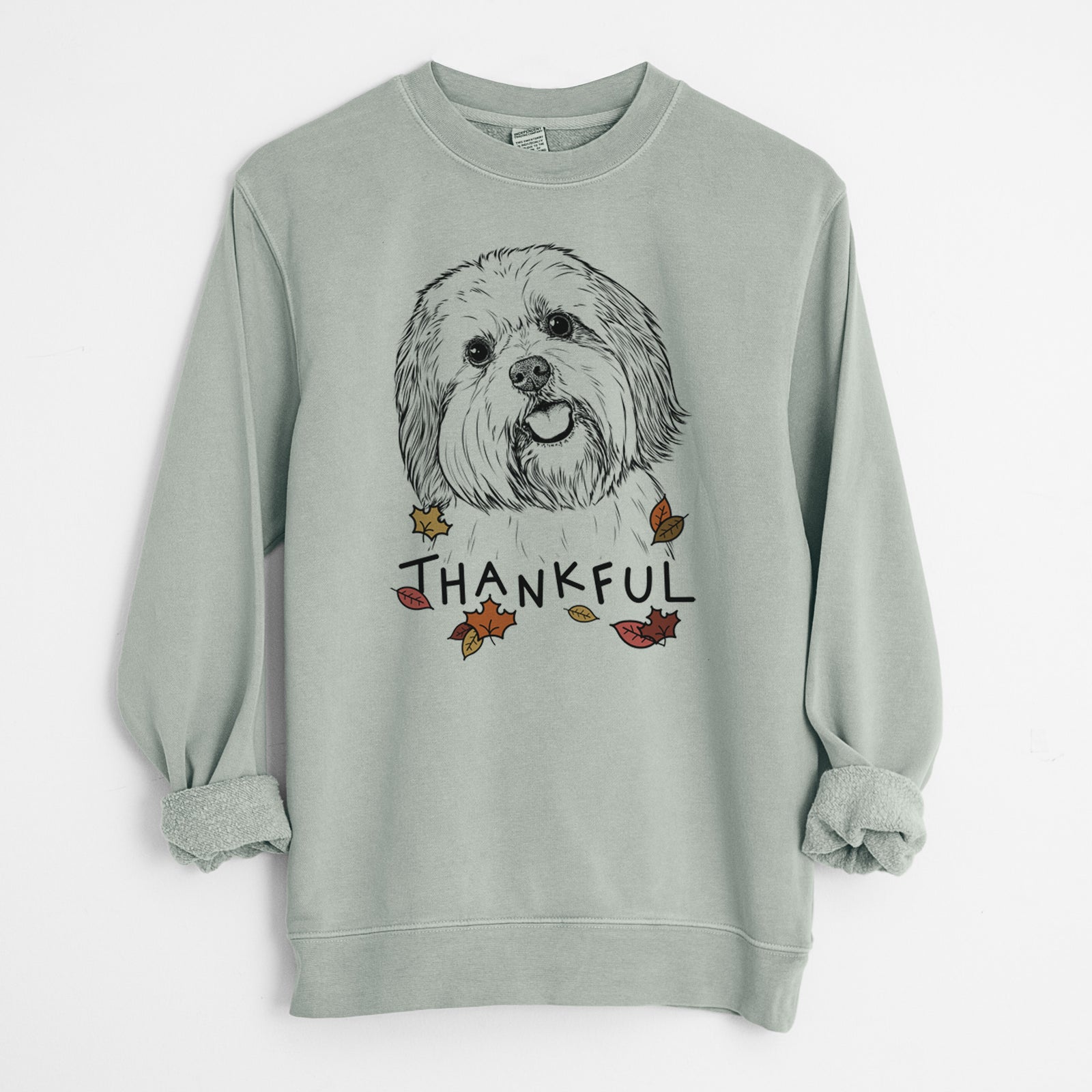 Hand-drawn sketch of Nikka the Lowchen with 'Thankful' lettering and autumn leaves on a Sage Unisex pigment dyed crew sweatshirt