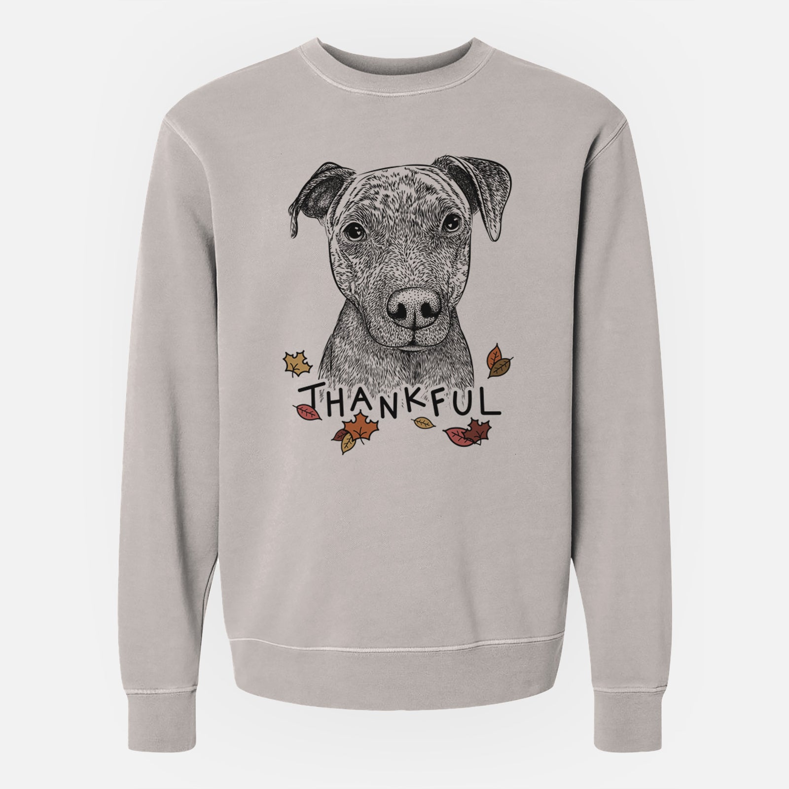 Hand-drawn sketch of Reeses the Pitbull with 'Thankful' lettering and autumn leaves on a Cement Unisex pigment dyed crew sweatshirt