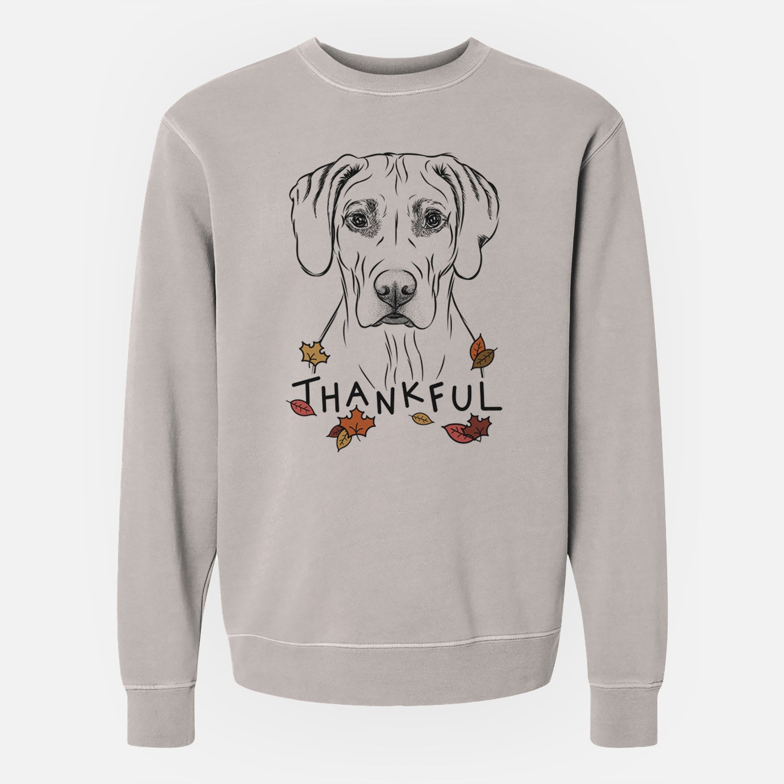 Hand-drawn sketch of Reid the Rhodesian Ridgeback with 'Thankful' lettering and autumn leaves on a Cement Unisex pigment dyed crew sweatshirt