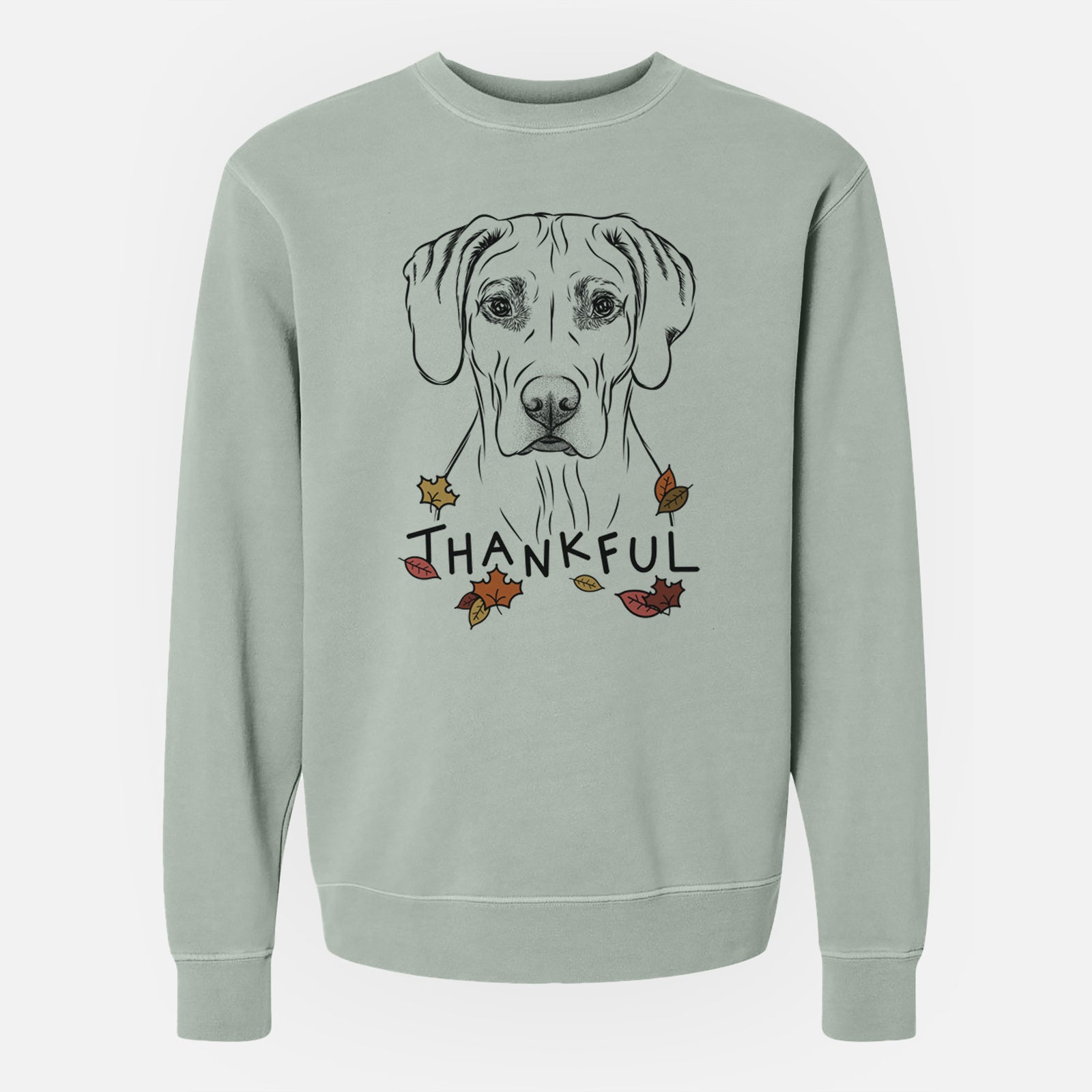 Hand-drawn sketch of Reid the Rhodesian Ridgeback with 'Thankful' lettering and autumn leaves on a Sage Unisex pigment dyed crew sweatshirt