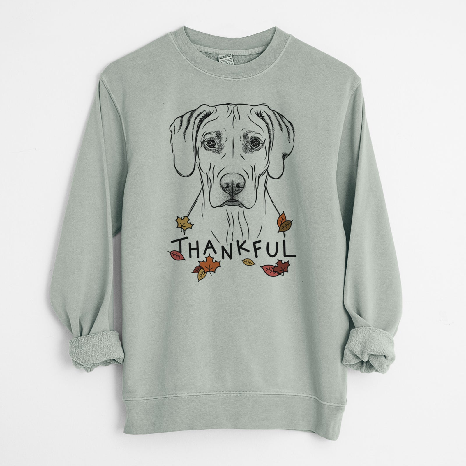 Hand-drawn sketch of Reid the Rhodesian Ridgeback with 'Thankful' lettering and autumn leaves on a Sage Unisex pigment dyed crew sweatshirt