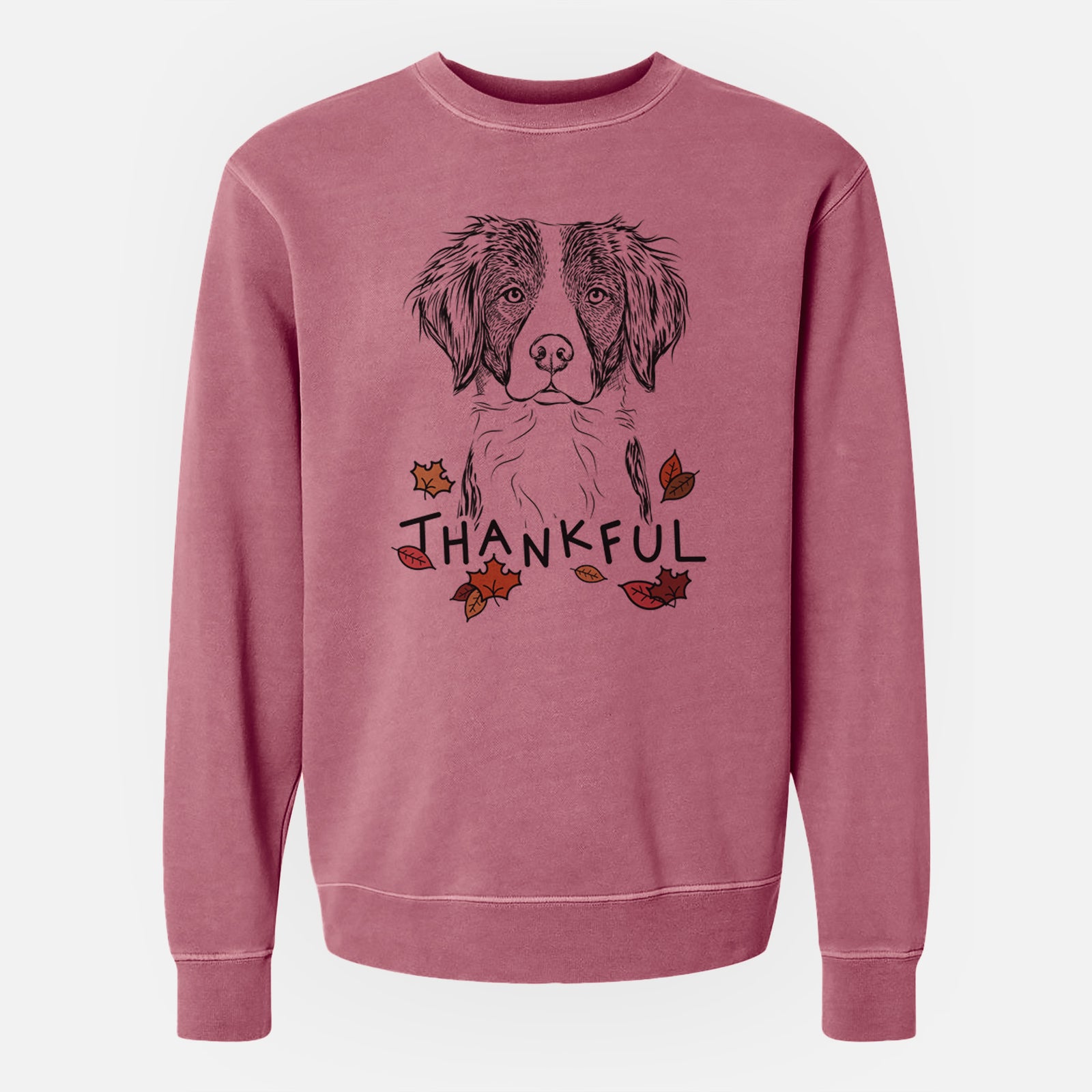 Hand-drawn sketch of Remi the Brittany with 'Thankful' lettering and autumn leaves on a Maroon Unisex pigment dyed crew sweatshirt