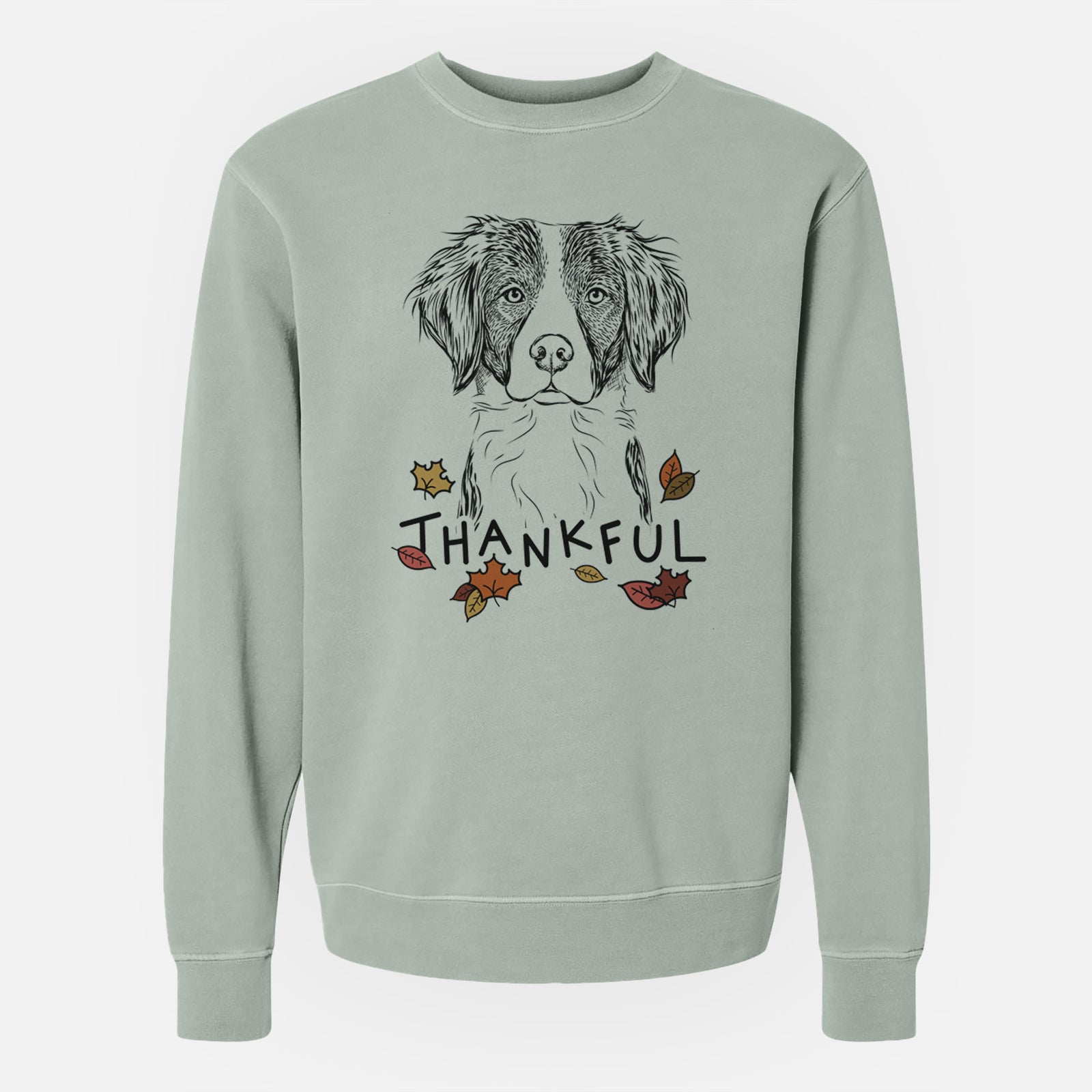 Hand-drawn sketch of Remi the Brittany with 'Thankful' lettering and autumn leaves on a Sage Unisex pigment dyed crew sweatshirt