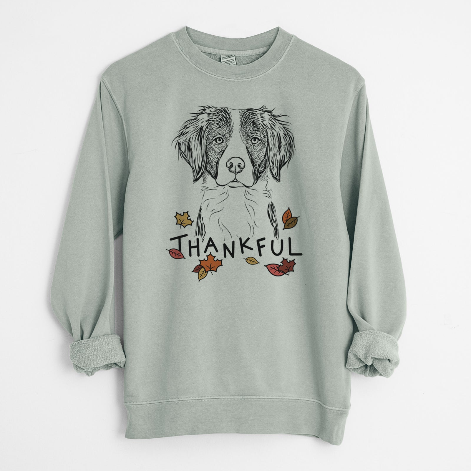 Hand-drawn sketch of Remi the Brittany with 'Thankful' lettering and autumn leaves on a Sage Unisex pigment dyed crew sweatshirt