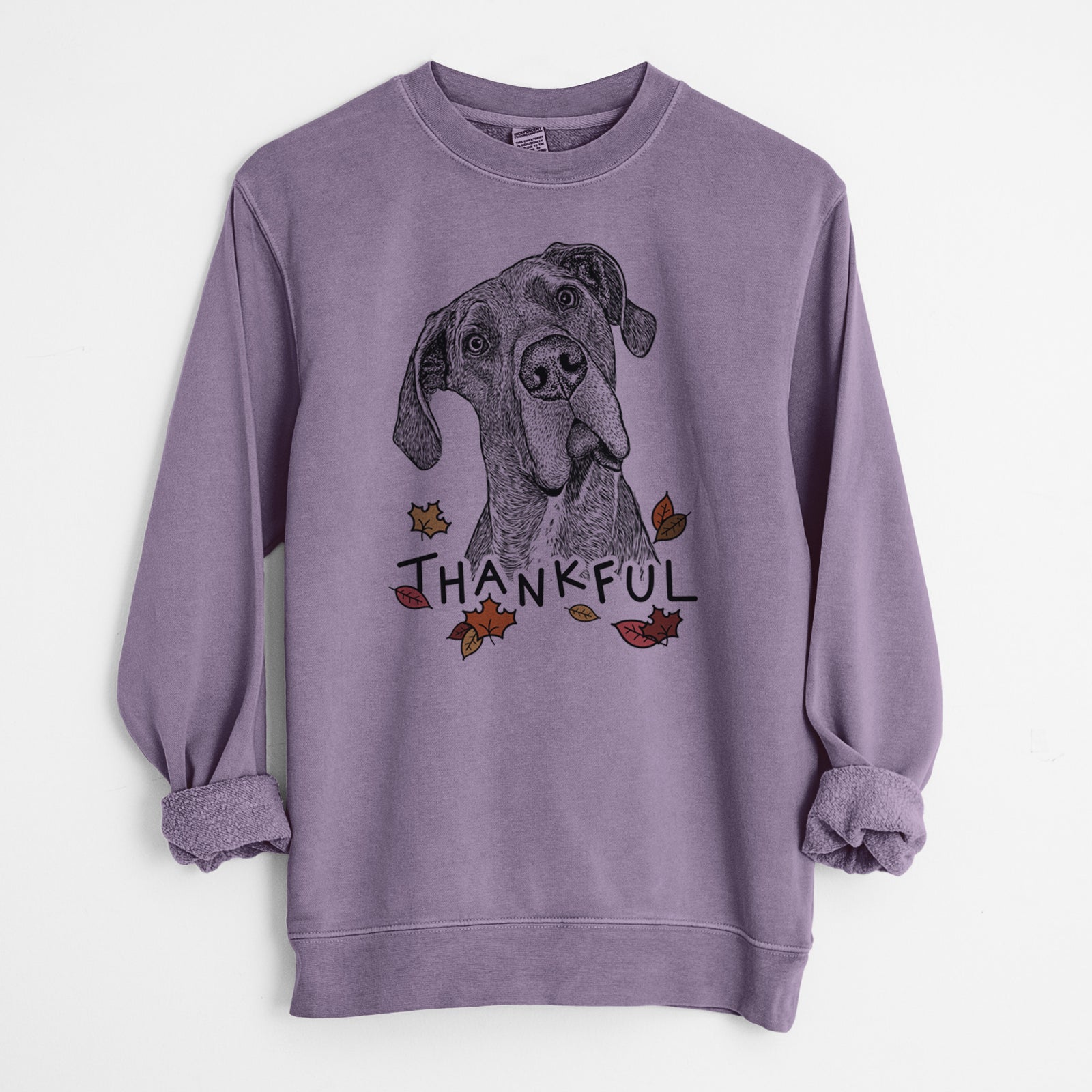 Hand-drawn sketch of River the Great Dane with 'Thankful' lettering and autumn leaves on a Plum Unisex pigment dyed crew sweatshirt