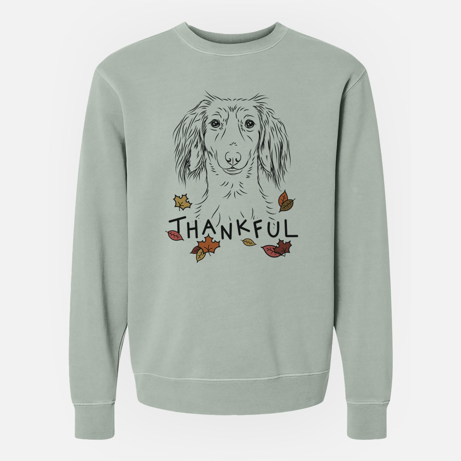 Hand-drawn sketch of Roux the Long Haired Dachshund with 'Thankful' lettering and autumn leaves on a Sage Unisex pigment dyed crew sweatshirt
