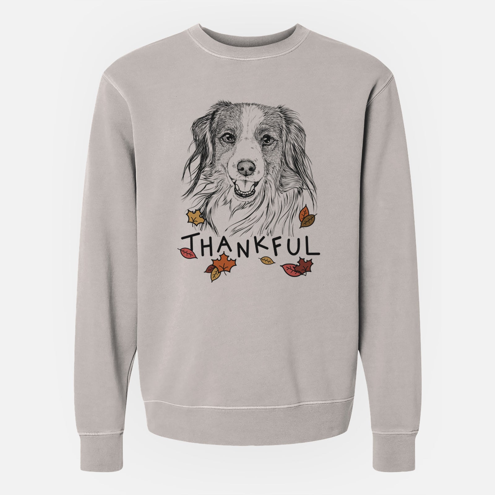 Hand-drawn sketch of Rutger the Nederlandse Kooikerhondje with 'Thankful' lettering and autumn leaves on a Cement Unisex pigment dyed crew sweatshirt