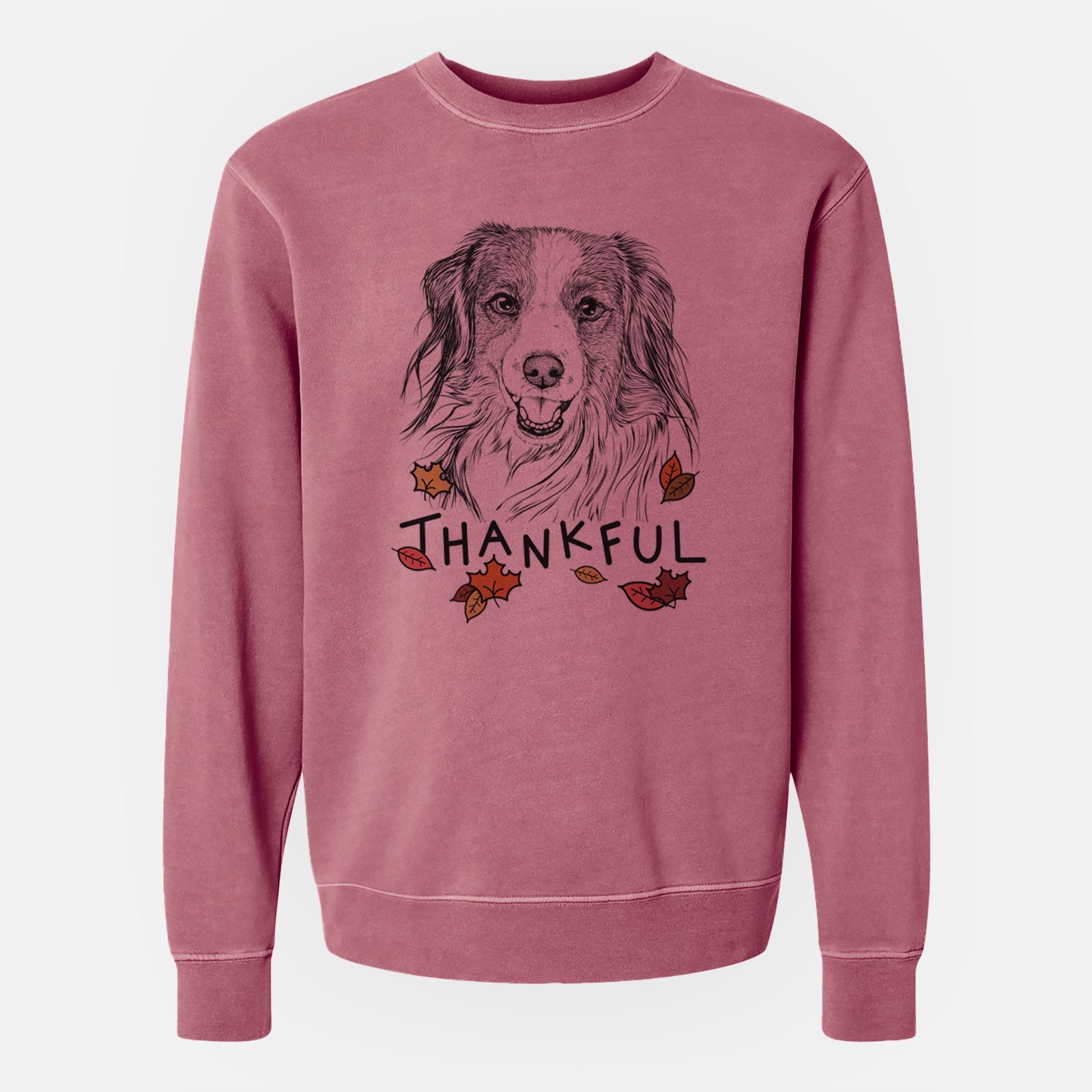 Hand-drawn sketch of Rutger the Nederlandse Kooikerhondje with 'Thankful' lettering and autumn leaves on a Maroon Unisex pigment dyed crew sweatshirt