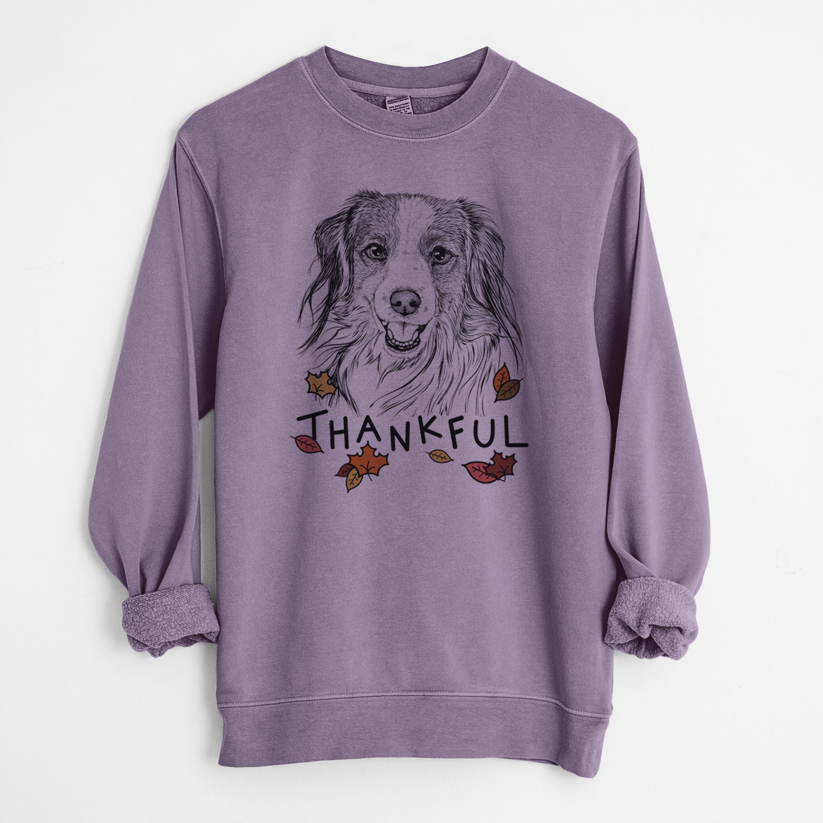 Hand-drawn sketch of Rutger the Nederlandse Kooikerhondje with 'Thankful' lettering and autumn leaves on a Plum Unisex pigment dyed crew sweatshirt