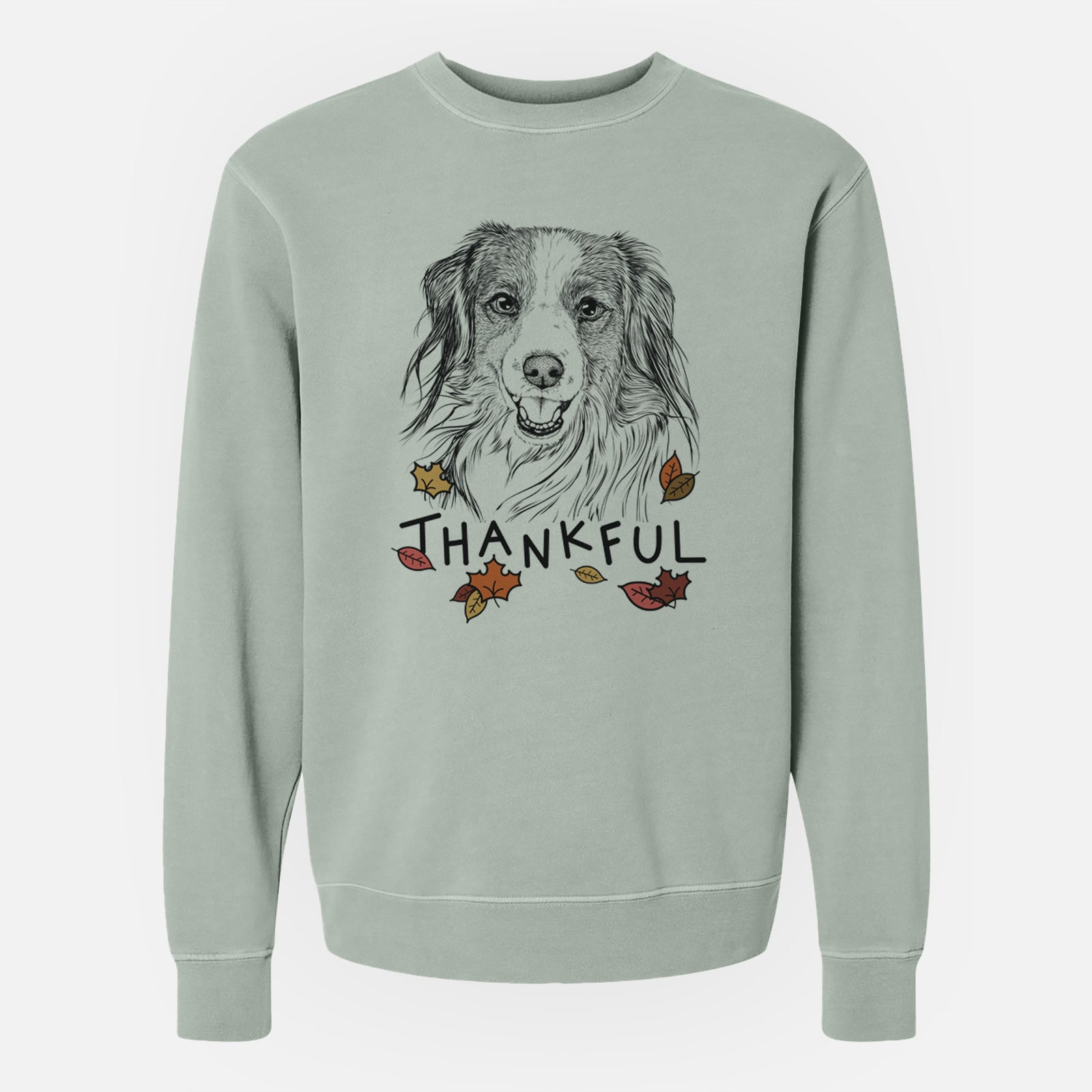 Hand-drawn sketch of Rutger the Nederlandse Kooikerhondje with 'Thankful' lettering and autumn leaves on a Sage Unisex pigment dyed crew sweatshirt
