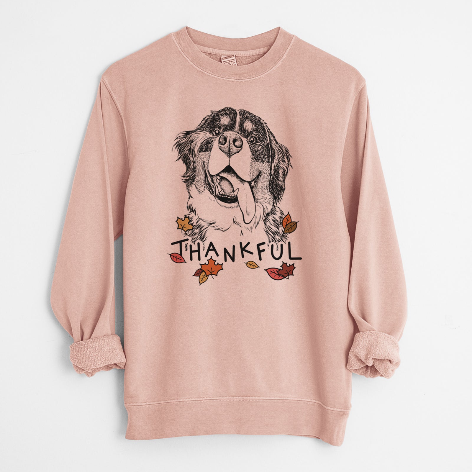 Hand-drawn sketch of Theo the Bernese Mountain Dog with 'Thankful' lettering and autumn leaves on a Dusty Pink Unisex pigment dyed crew sweatshirt